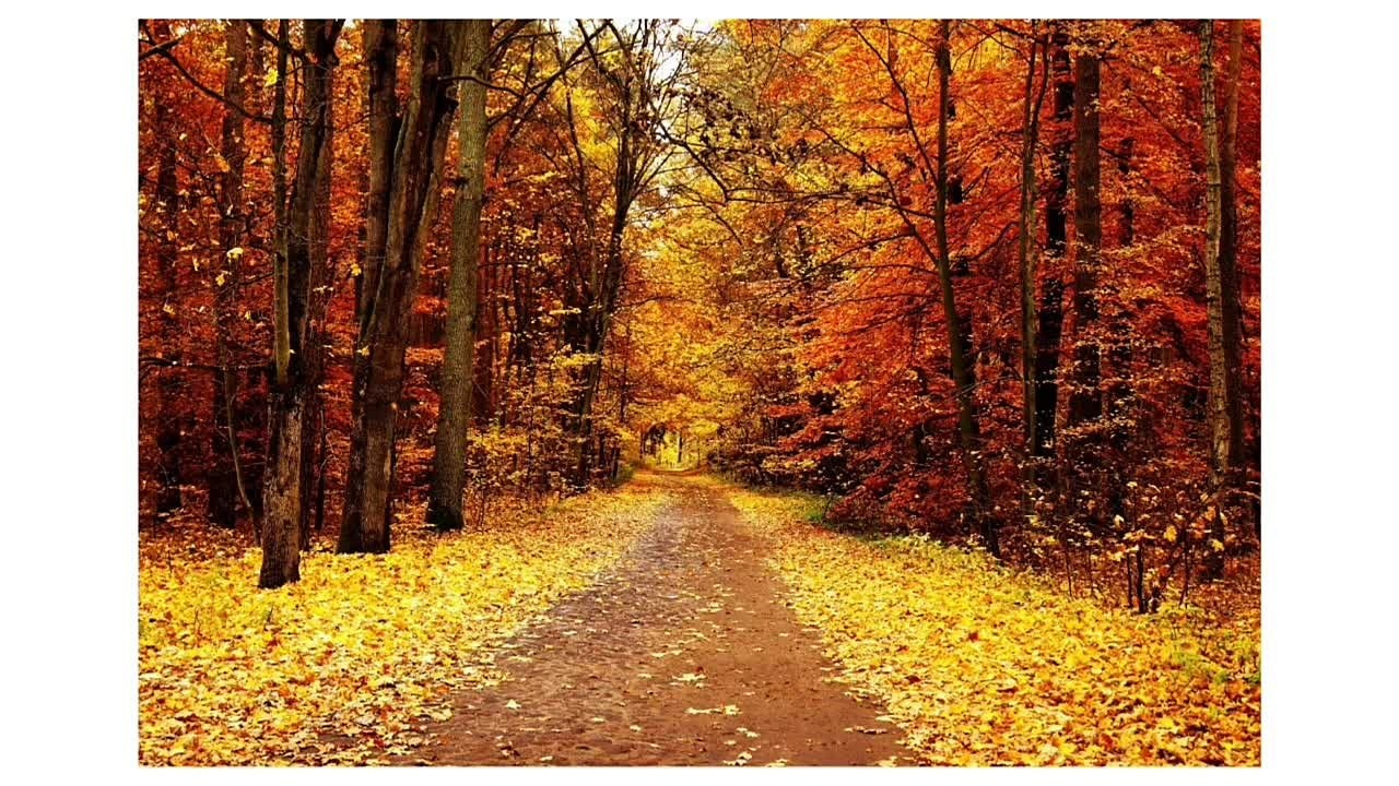 Урок фотографии. Фотография как искусство. Пашунеску Ксения: Фотограф | Фотосессия в Анапе