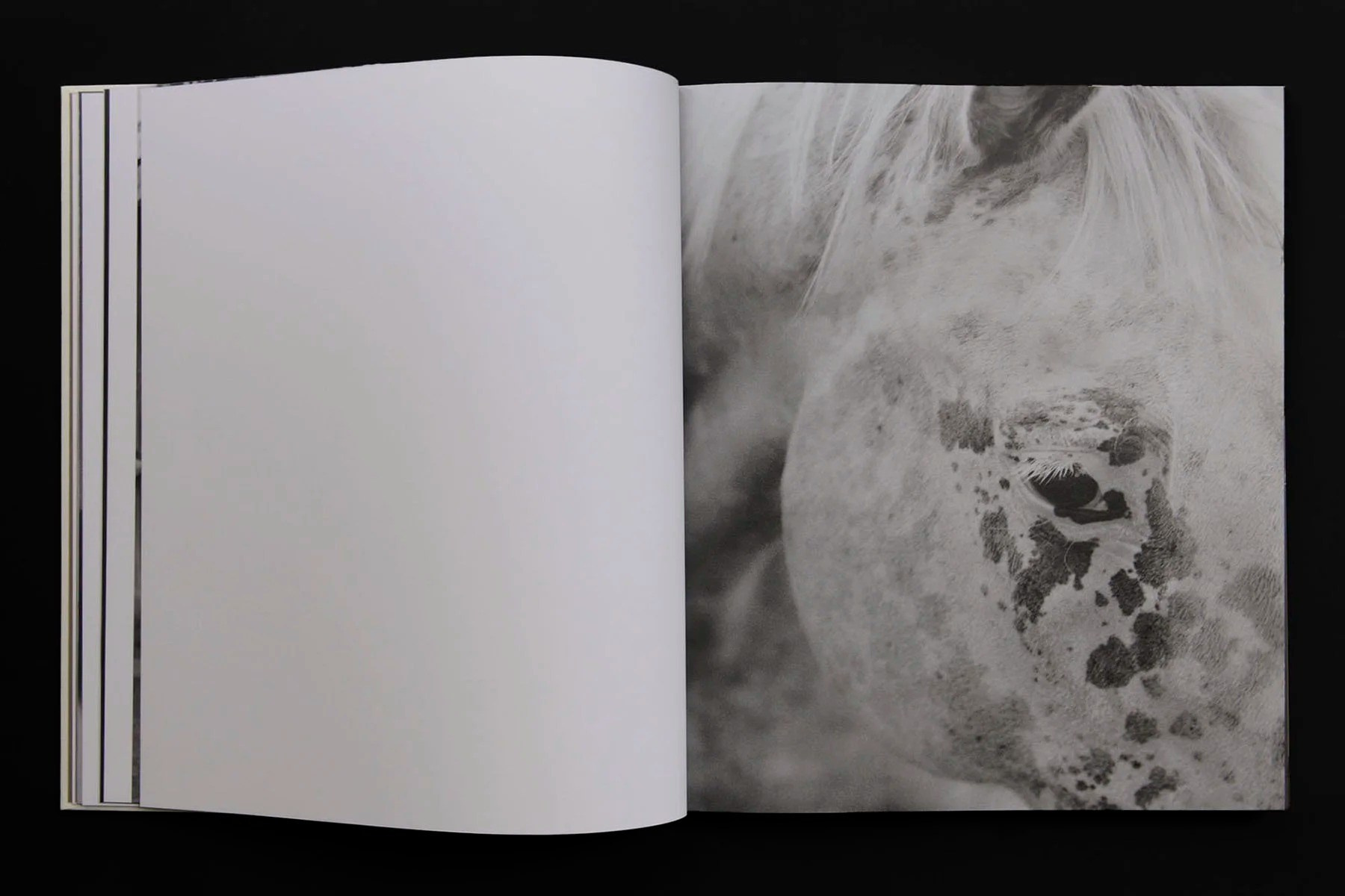 INTERVIEW WITH THE ARTIST: Maja Daniels. Самоорганизация Низина