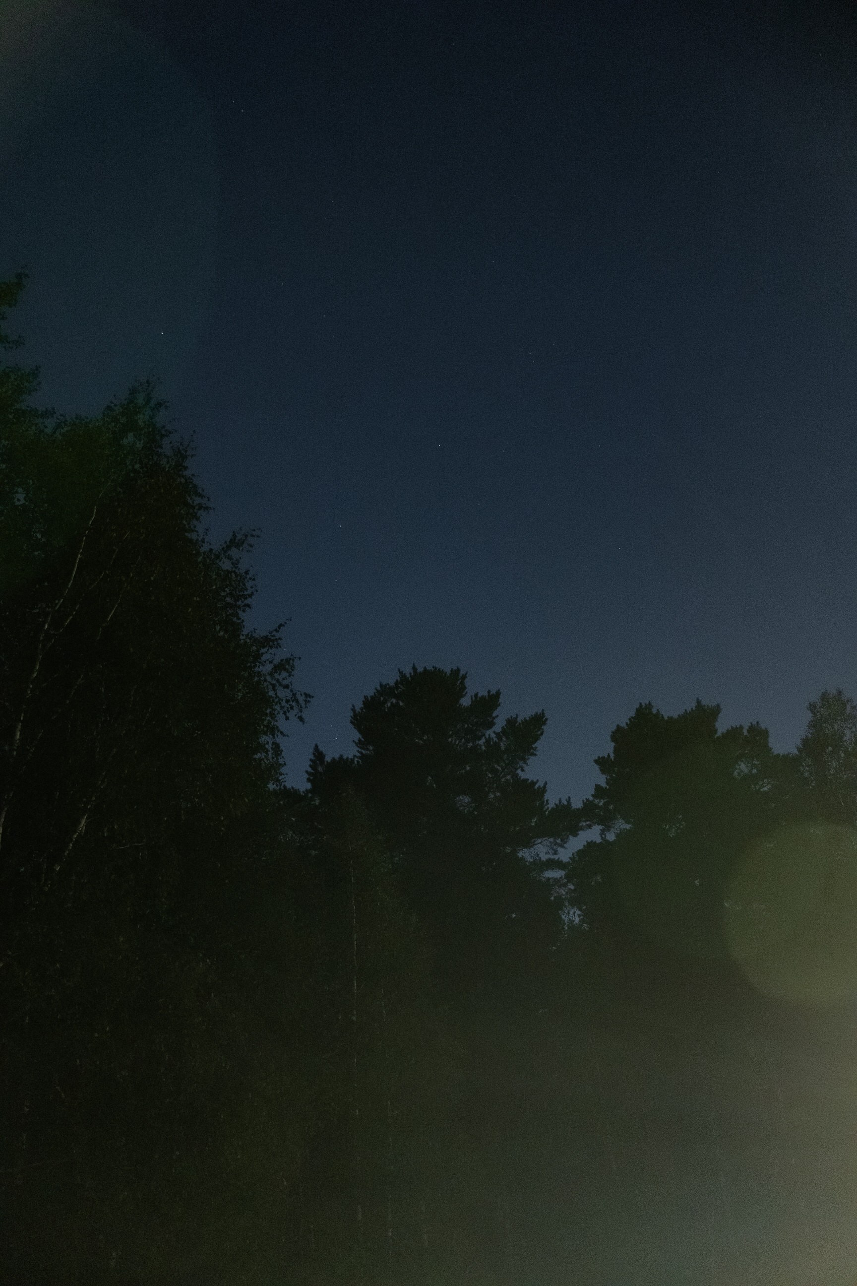 Софья & Виктор. Yura Rush Свадебный фотограф Тюмень