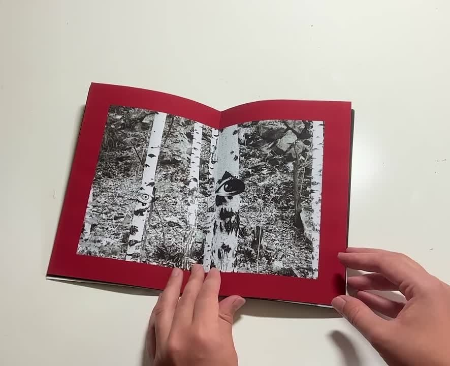 Смотрят. Художник Екатерина Оленина