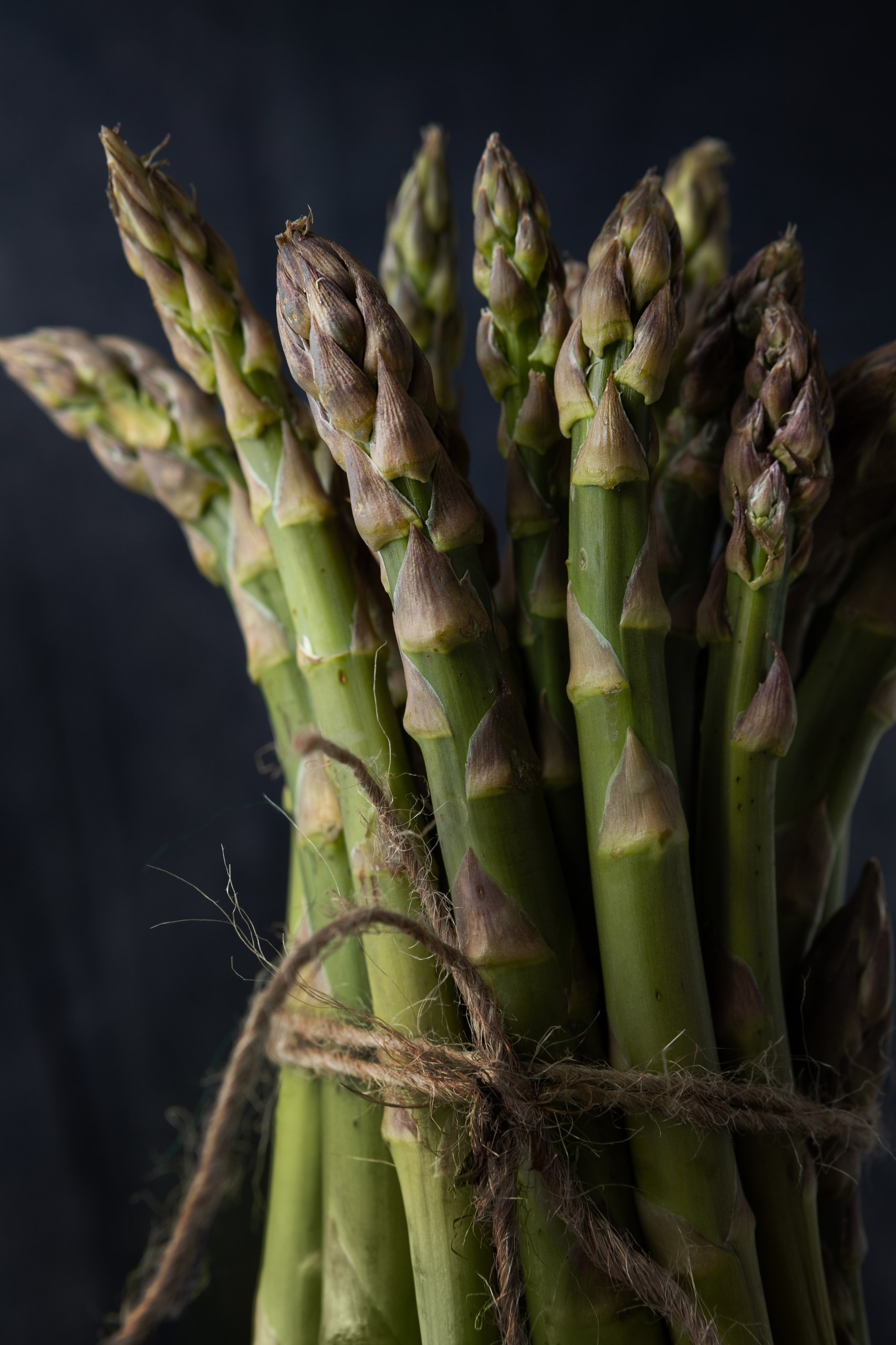 Предметная фотография. Предметный фотограф и фотограф в стиле Lifestyle