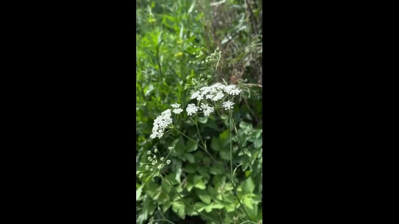 Обучение. Фотограф Людмила Оюн