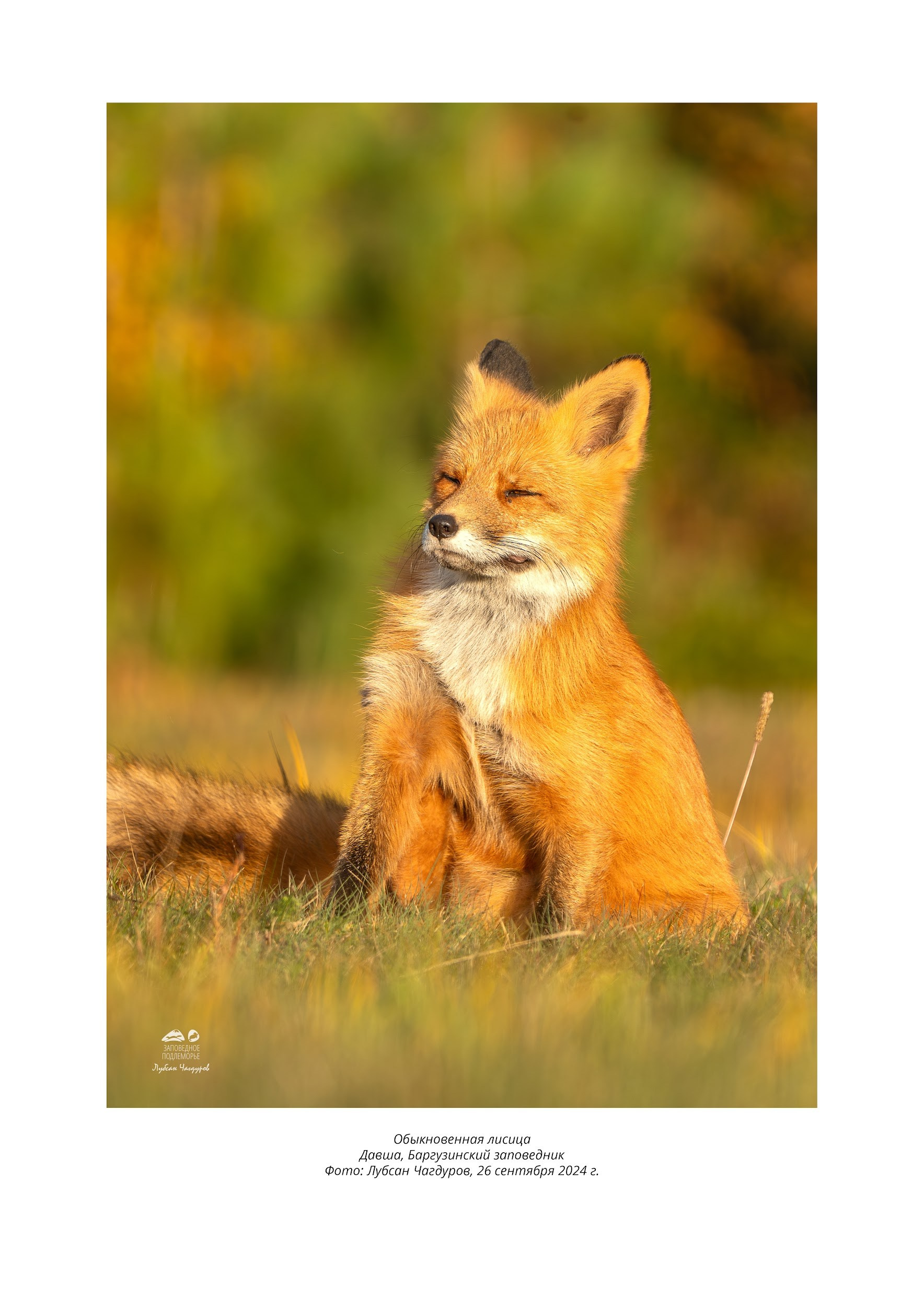 Фотограф Лубсан Чагдуров