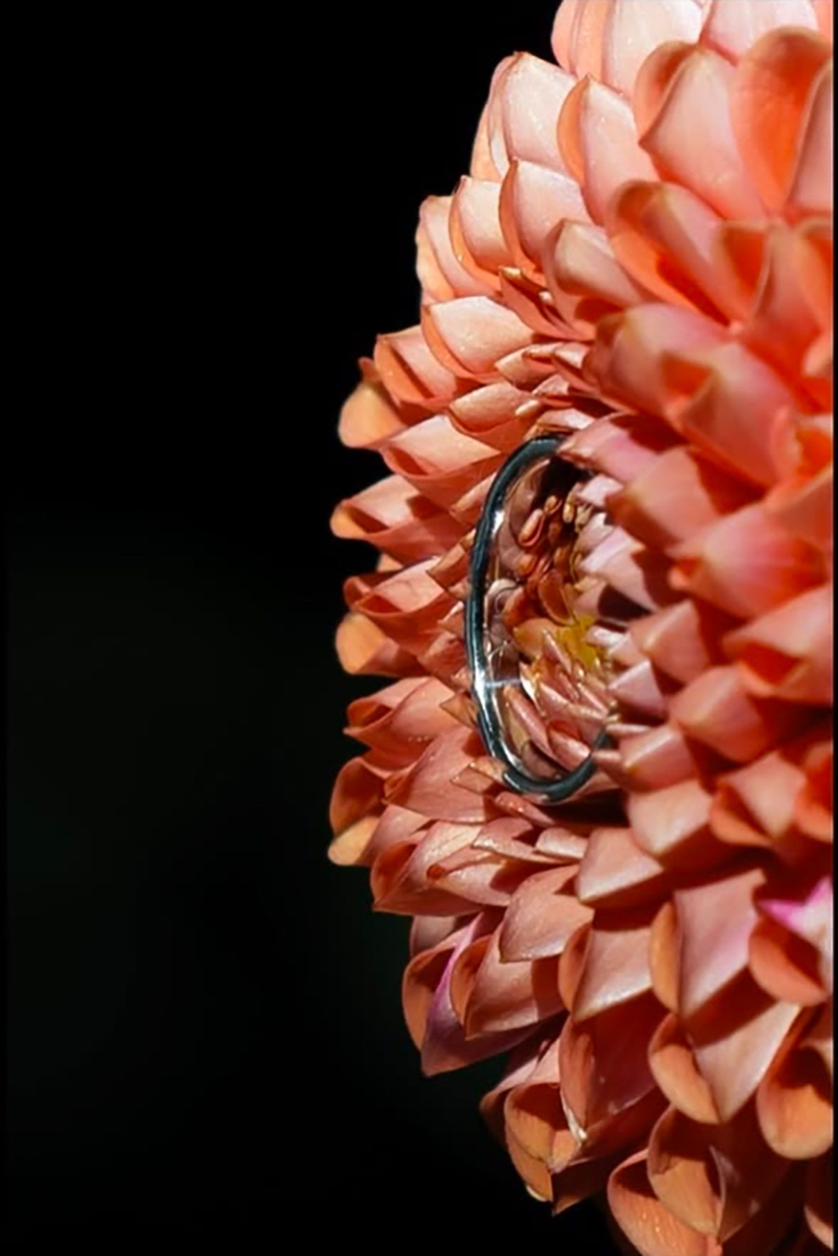 Свадьбы. Фотограф событийных мероприятий в Москве и МО