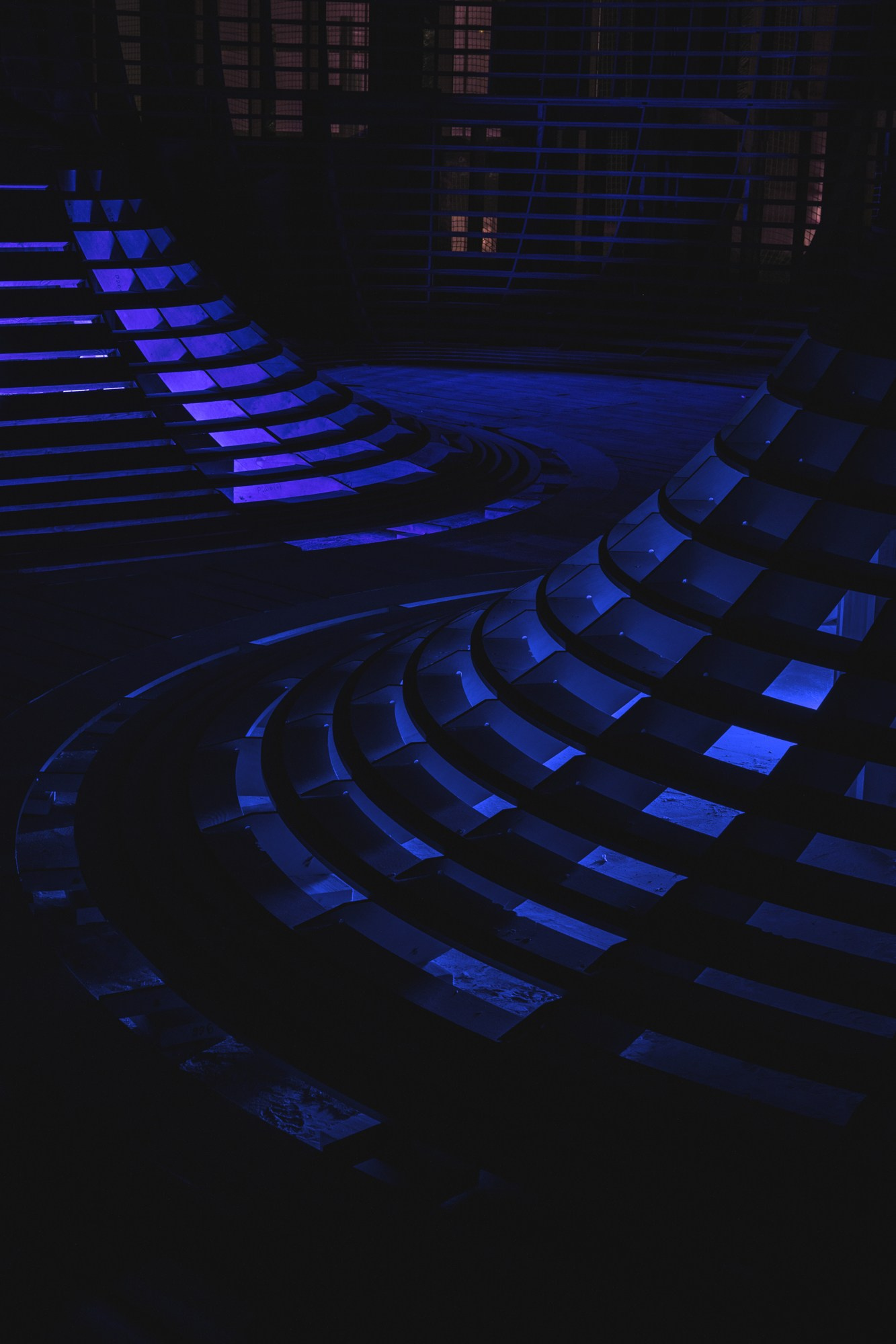 Random photo roulette. Bivol images