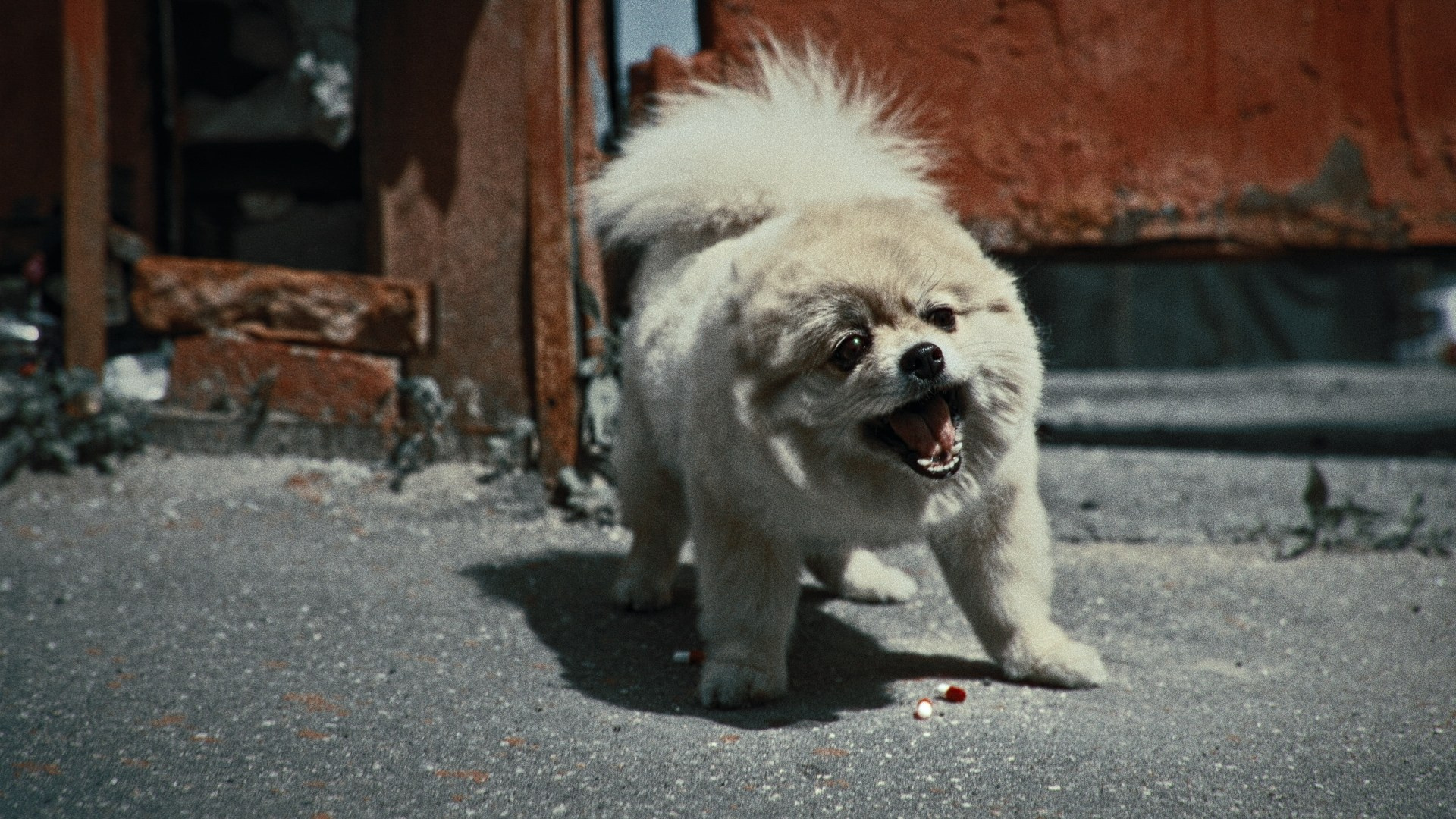 Музыкальный клип Таблетки. Цветокоррекция кино, рекламы и клипов. В Алматы и по всему миру. Юрий Косяков