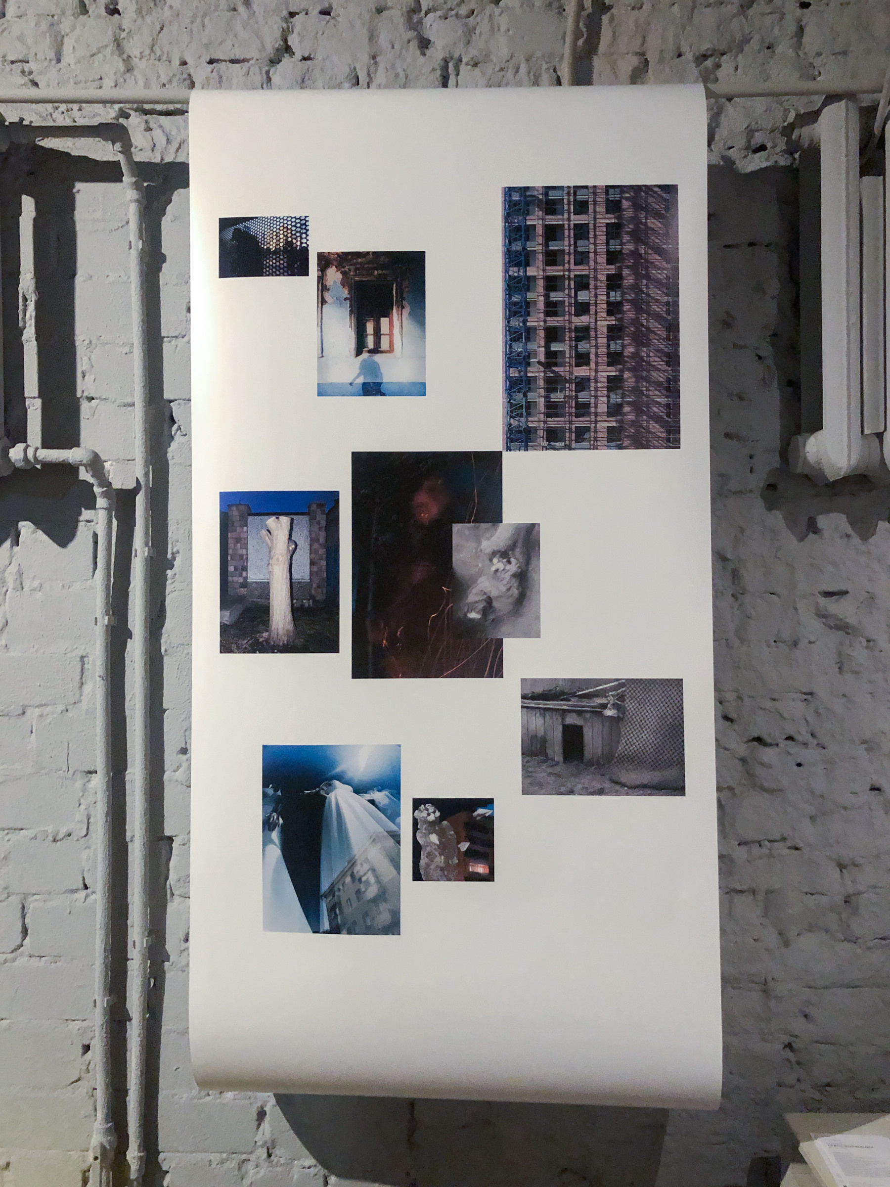 Трансформация. Фотограф Ольга Кардашова