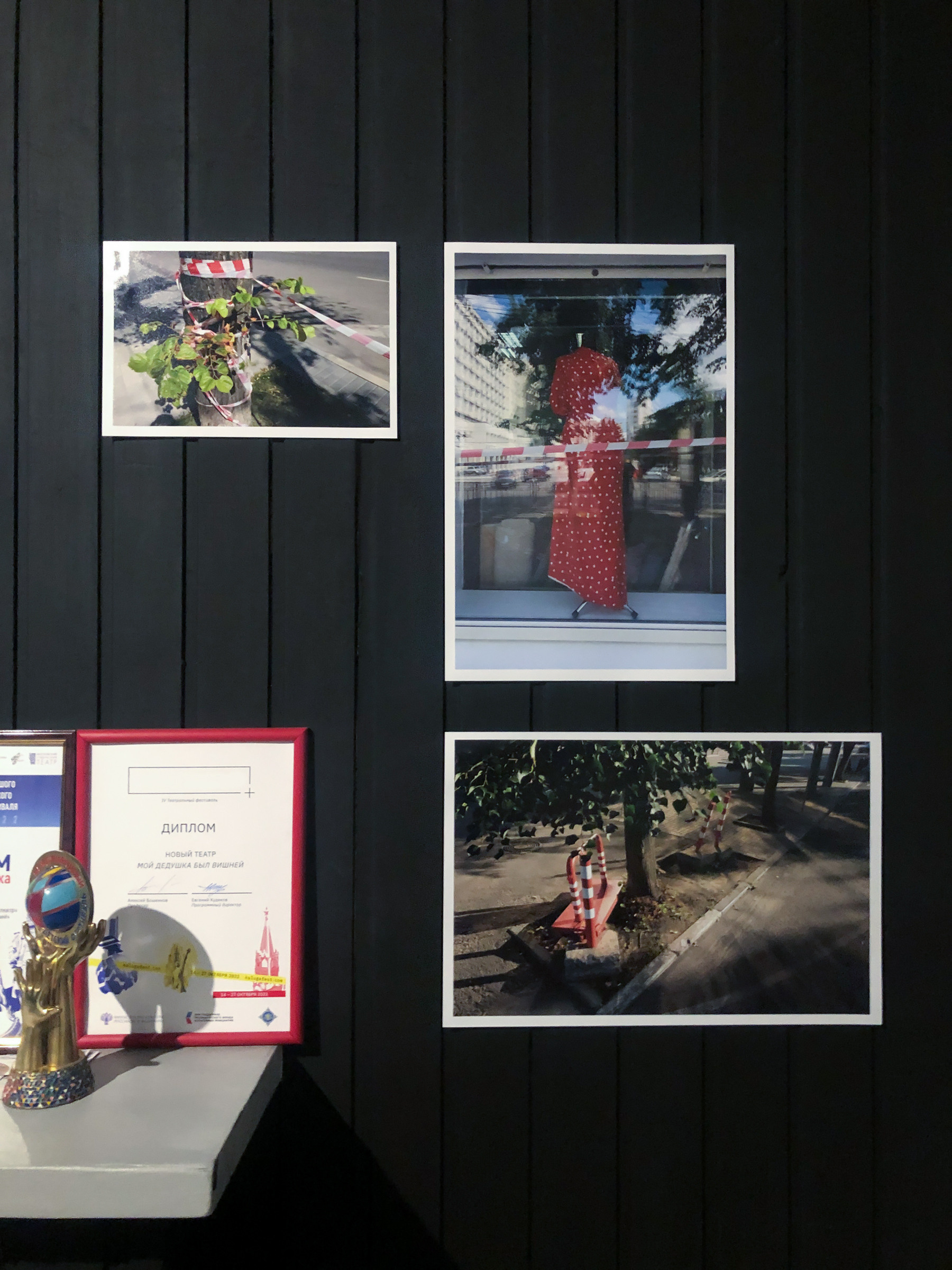 Трансформация. Фотограф Ольга Кардашова