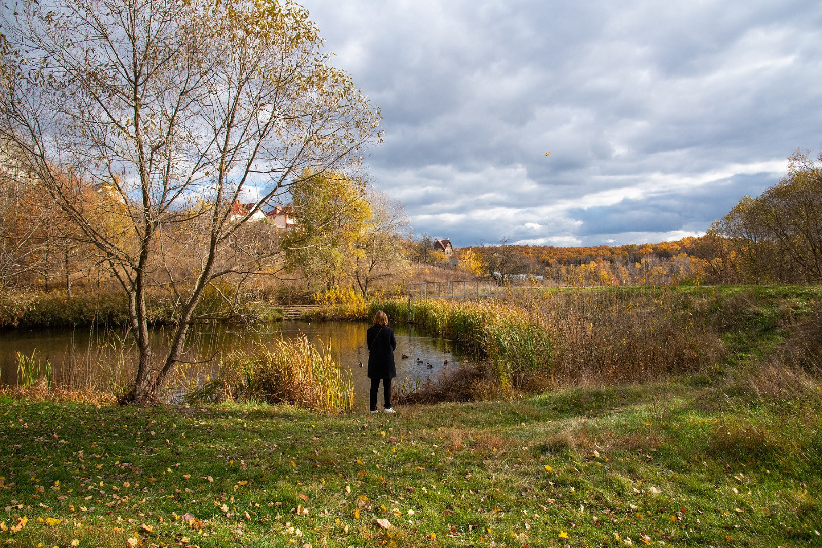 Творческий уголок фотографа из Белгорода Ивановой Елены