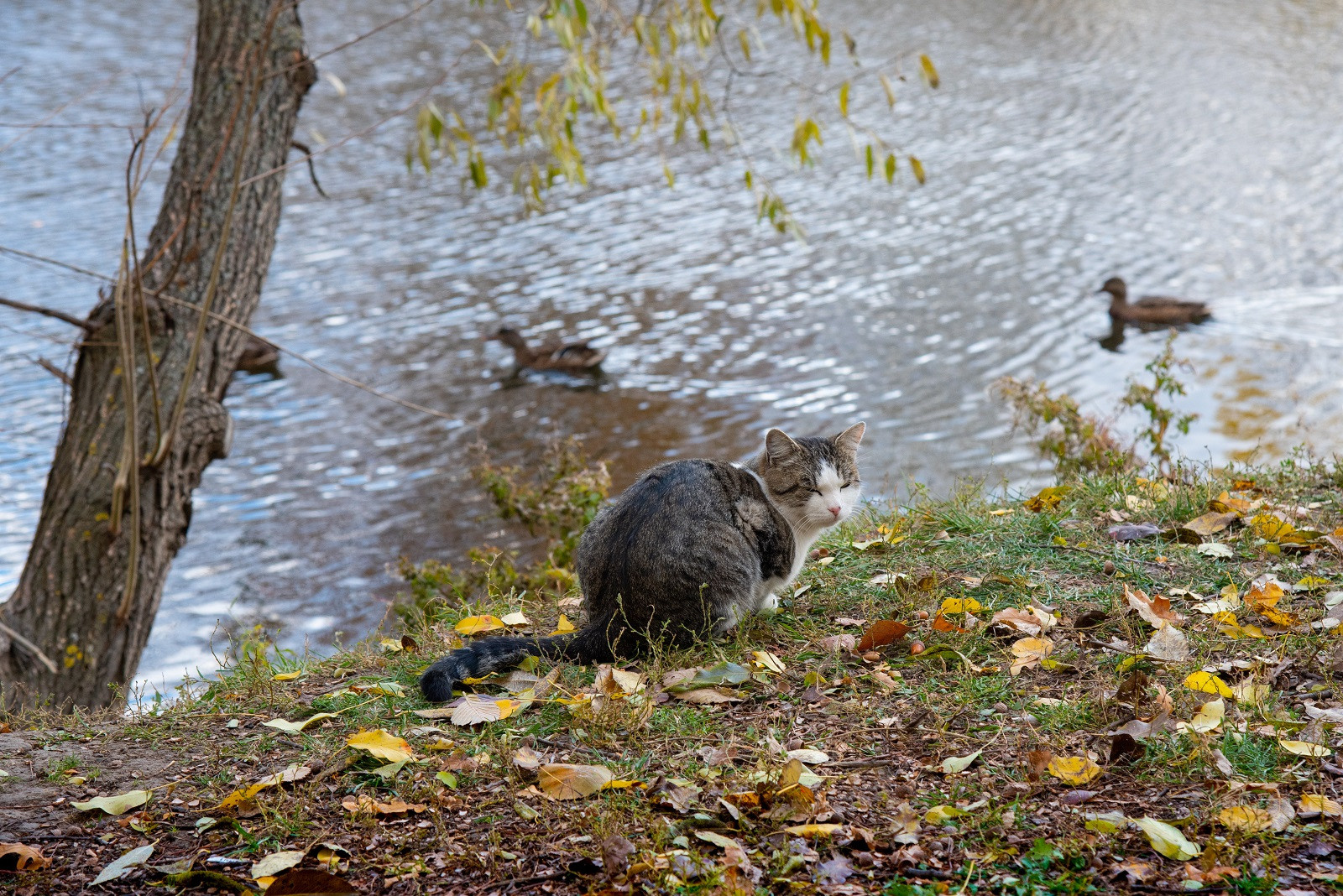 Творческий уголок фотографа из Белгорода Ивановой Елены