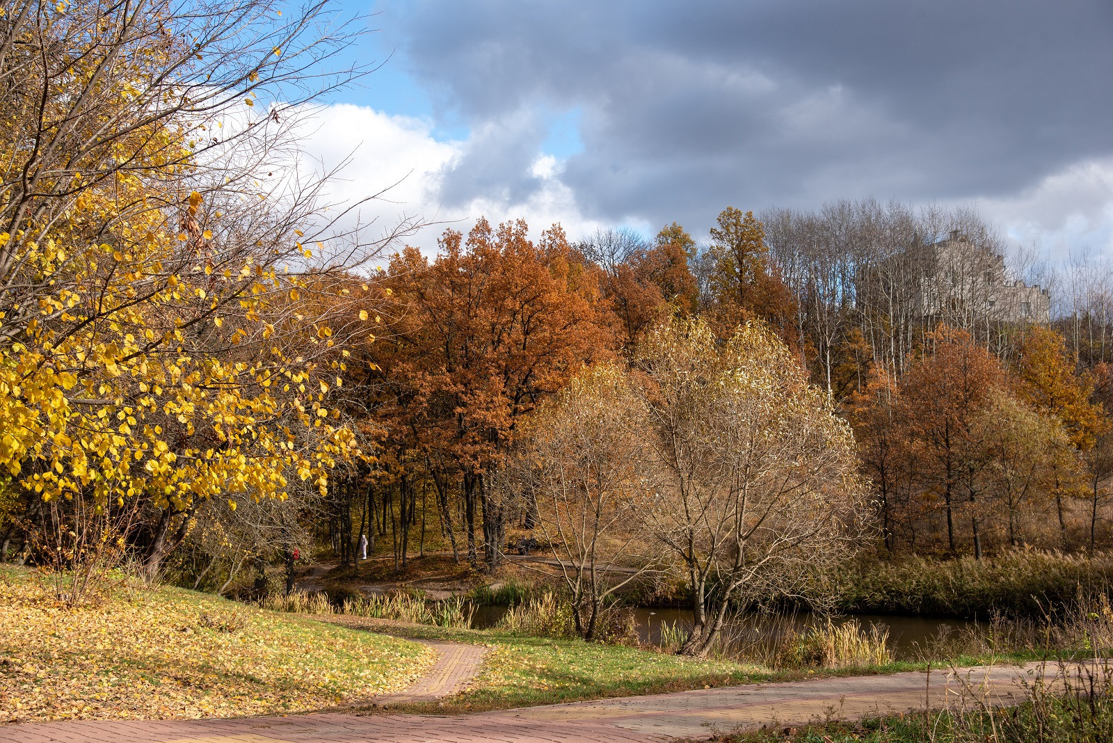 Творческий уголок фотографа из Белгорода Ивановой Елены