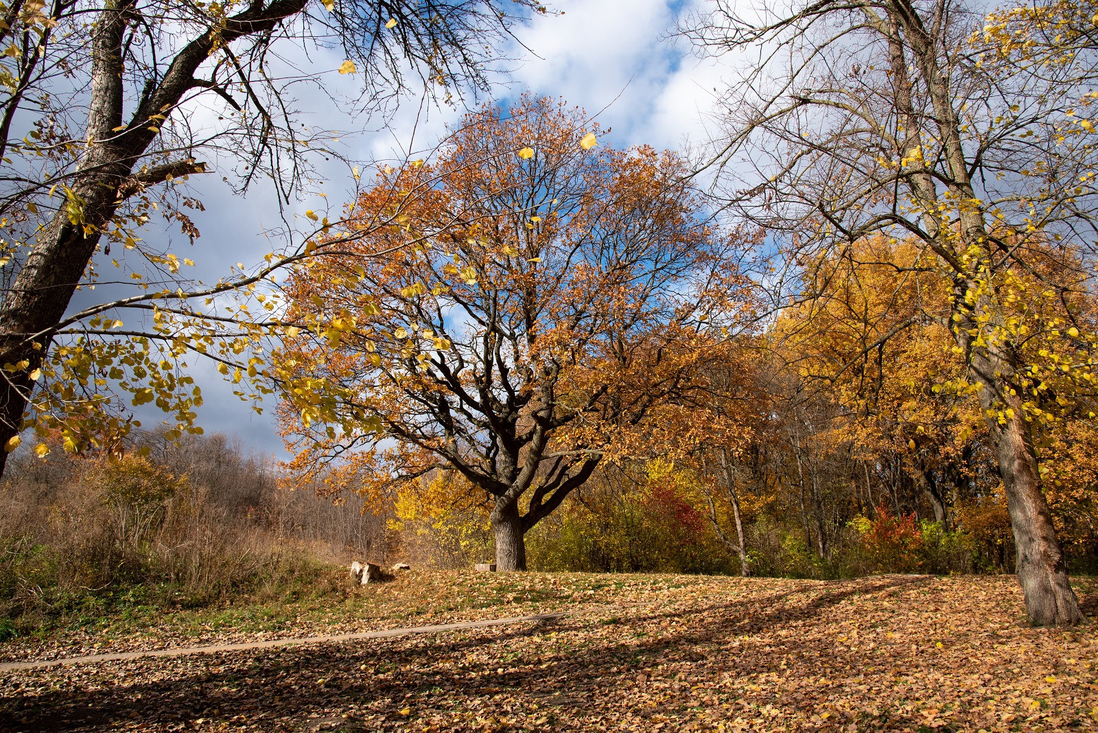 Творческий уголок фотографа из Белгорода Ивановой Елены