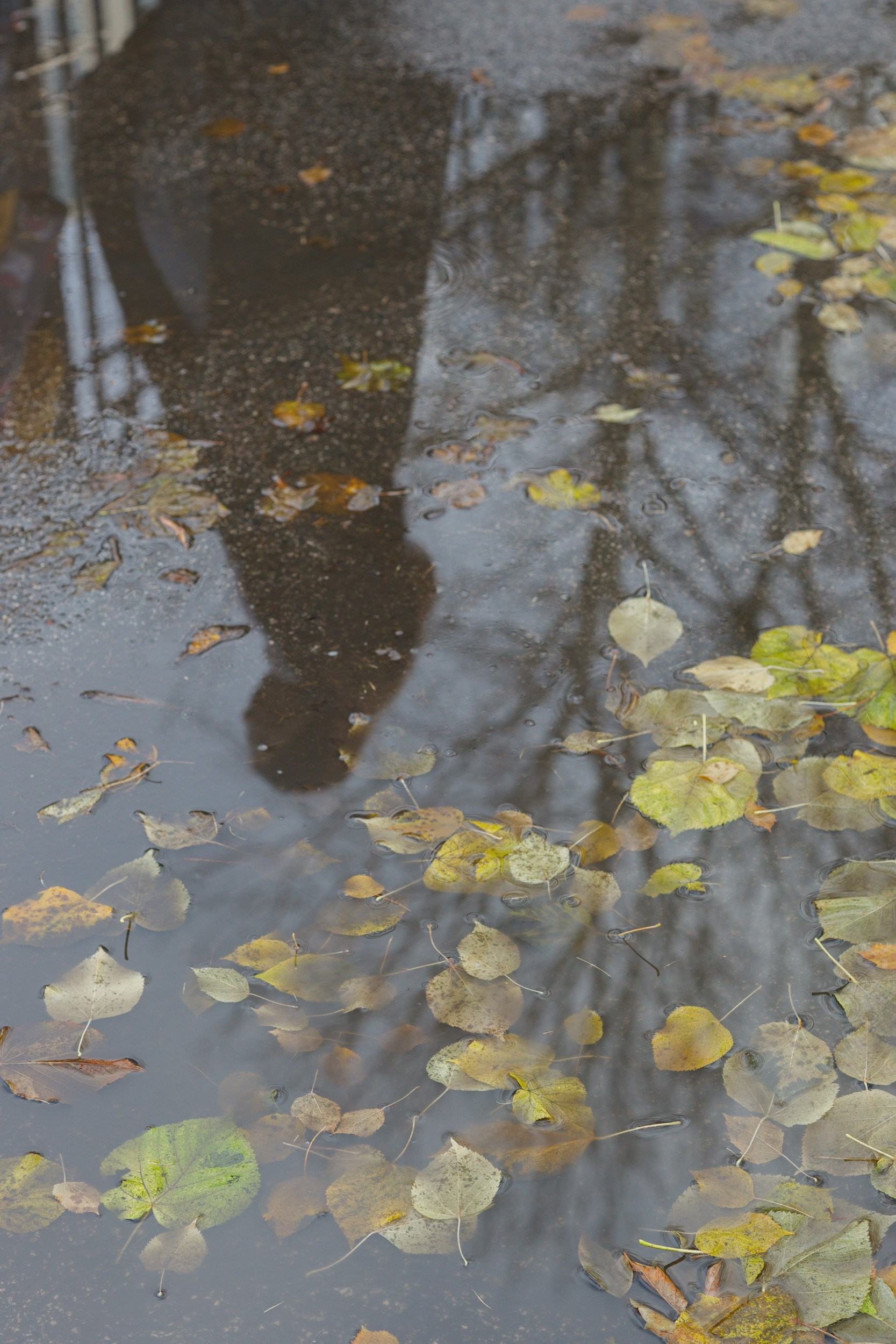 Календарь на 2026 год. Фотохудожник Андрей Лагунов