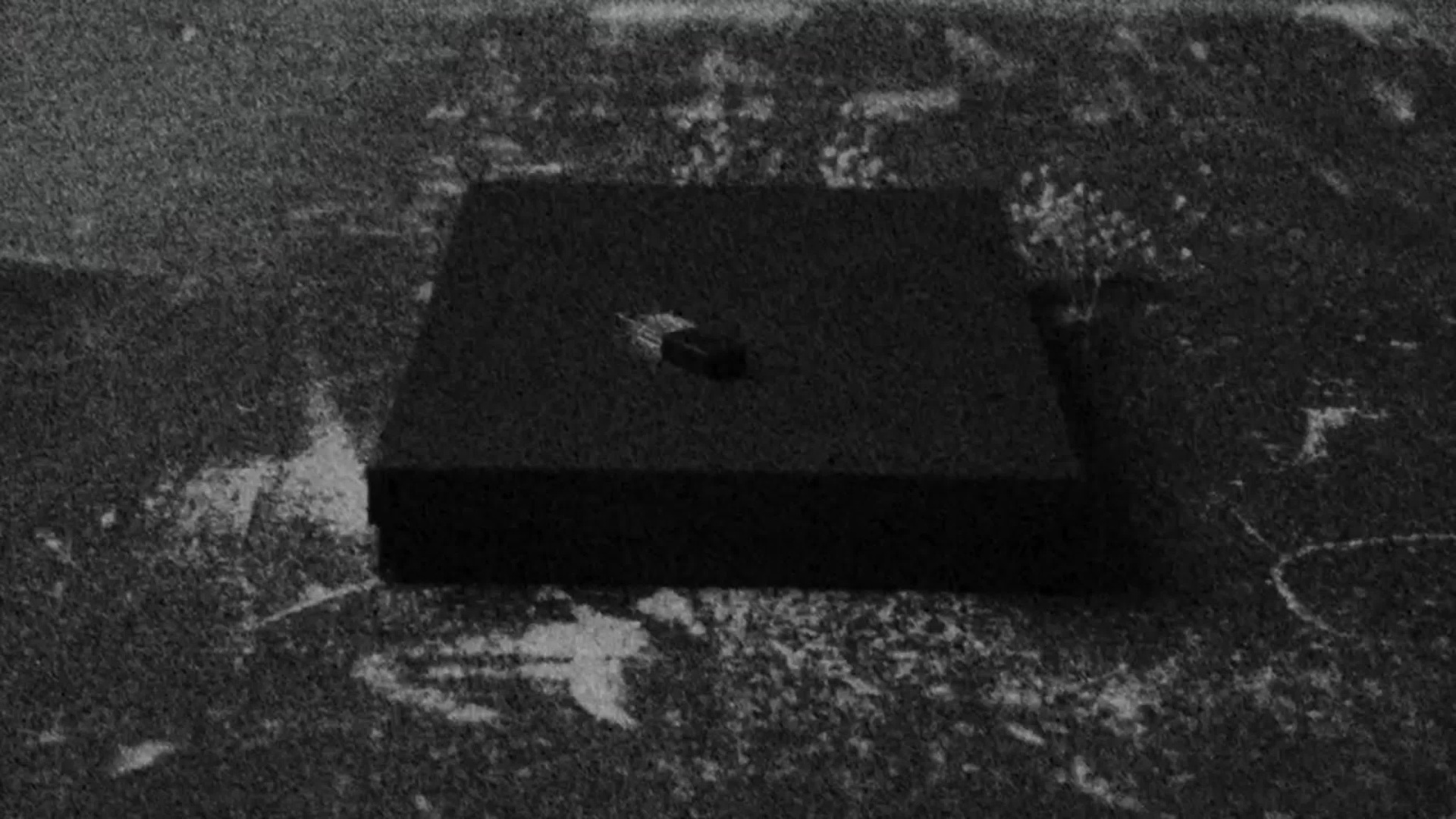 Что Вы получаете. Свадебный фотограф Аня Милграм