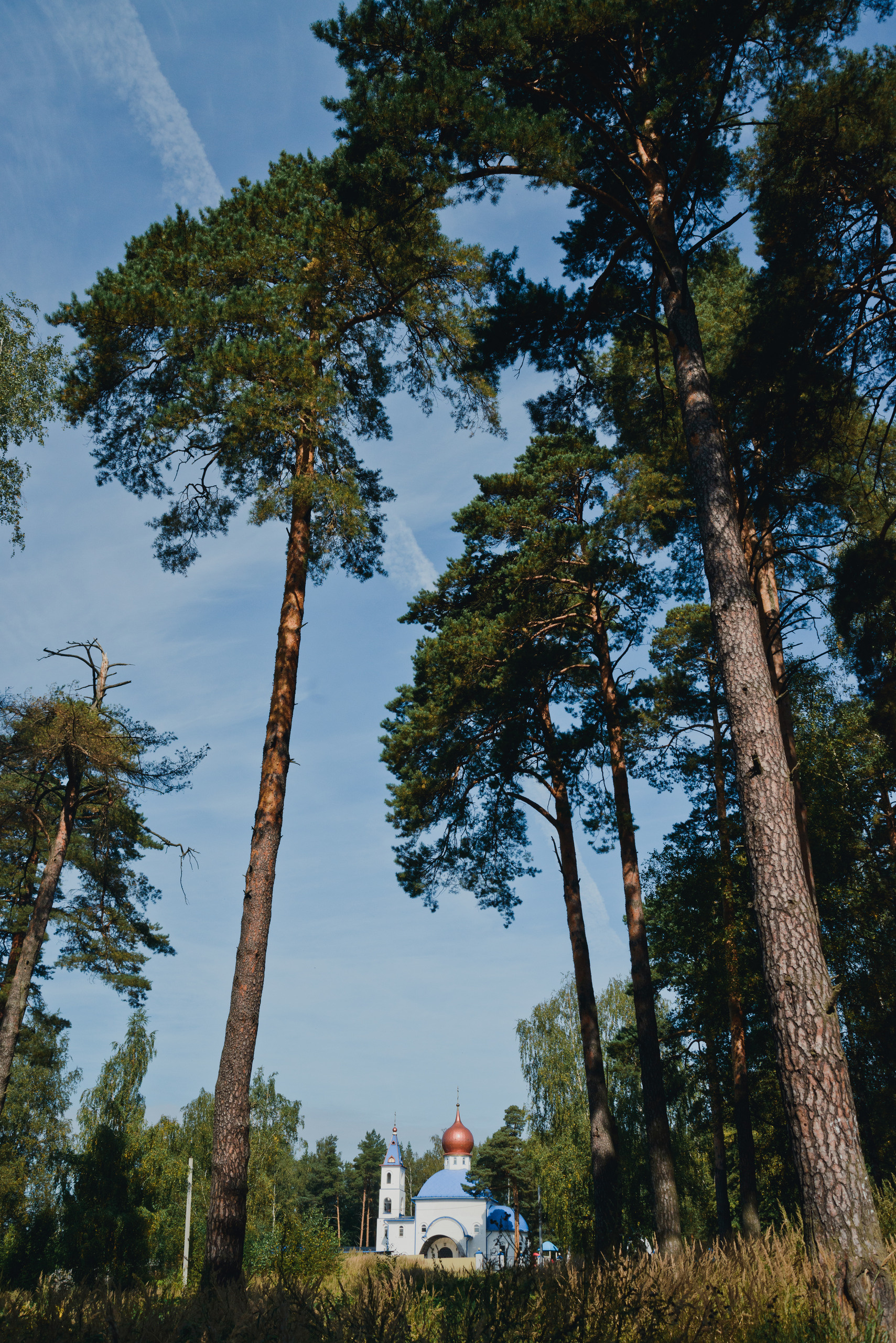 СЕРГЕЙ И ЕВГЕНИЯ. Фотограф Лопаткина Ирина