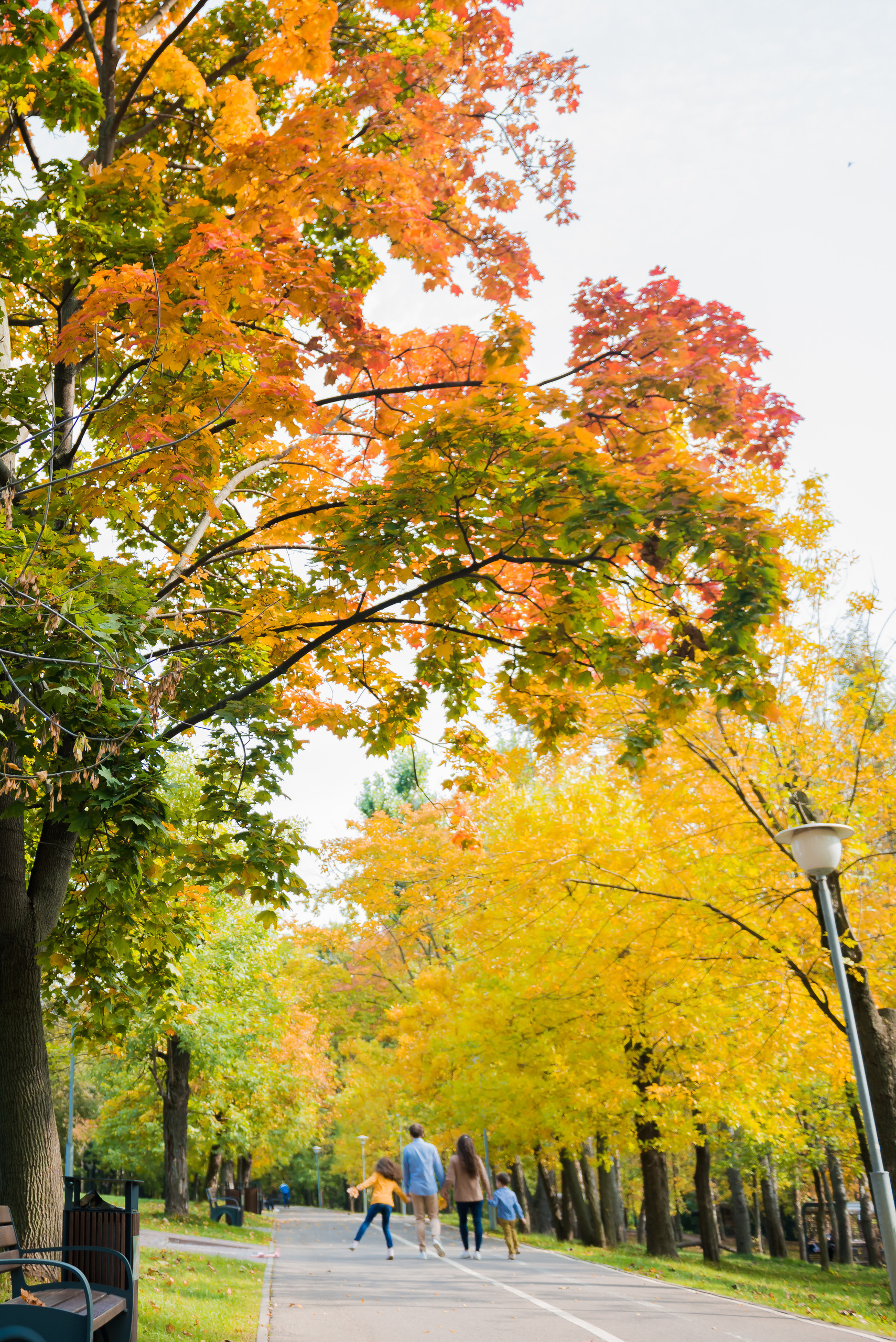 ЧЕТЫРЕ + 1. Фотограф Лопаткина Ирина