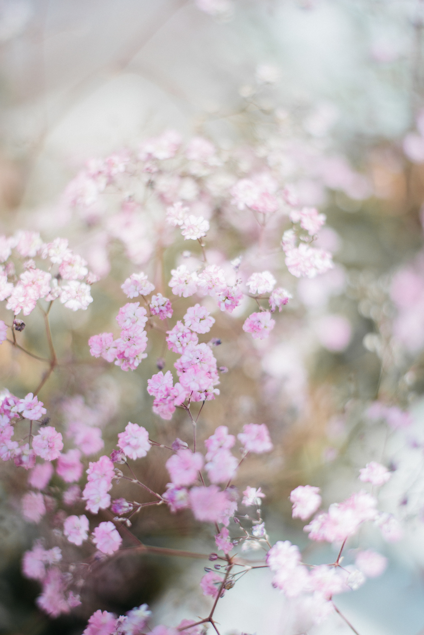 ФотосъемкА, фотосессия, портретная фотосессия, портрет, женский портрет, портретная фотосъемка, портреты, фотограф москва, подмосковье, фотограф подмосковье, ищу фотографа, съемка для себя, портретная съемка для себя, вднх, ввц, фотограф на вднх, фотосессия на вднх, фотосъемка на вднх, съемка вднх