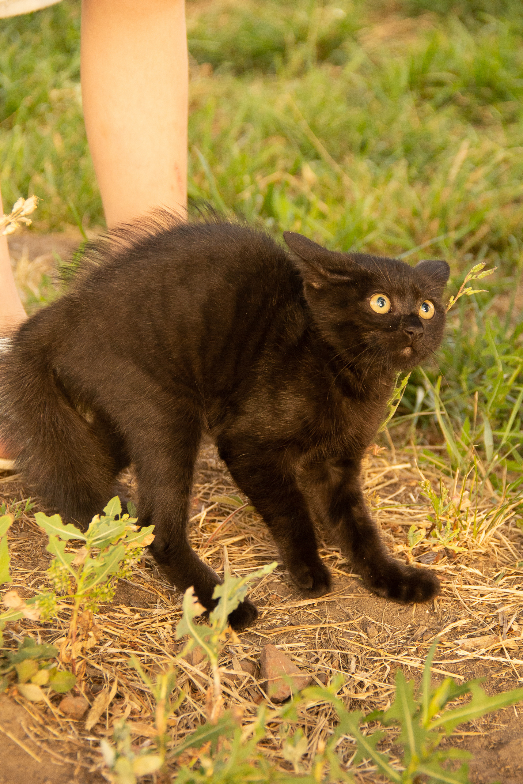 Камское море. ДИРЕКТОР МОДЕЛЬНОГО АГЕНТСТВА КАЗАНЬ
