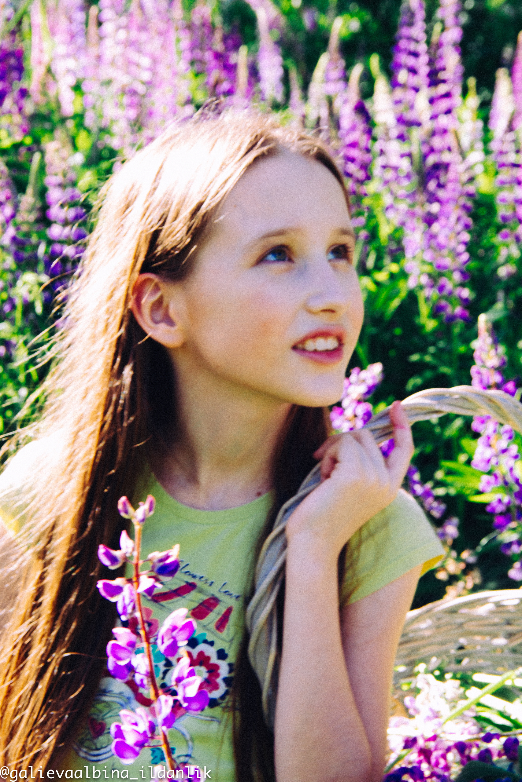 Люпины. ДИРЕКТОР МОДЕЛЬНОГО АГЕНТСТВА КАЗАНЬ