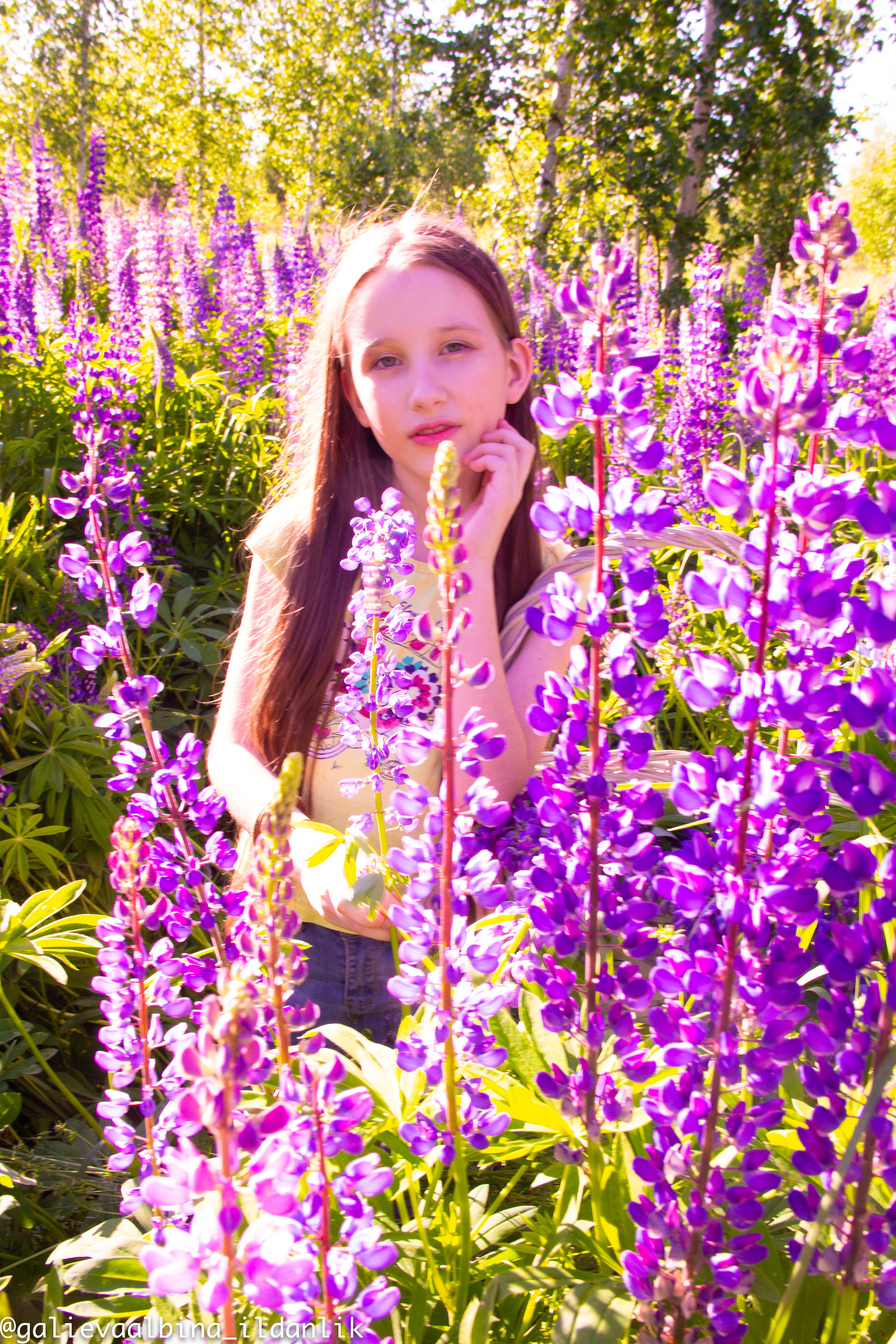 Люпины. ДИРЕКТОР МОДЕЛЬНОГО АГЕНТСТВА КАЗАНЬ