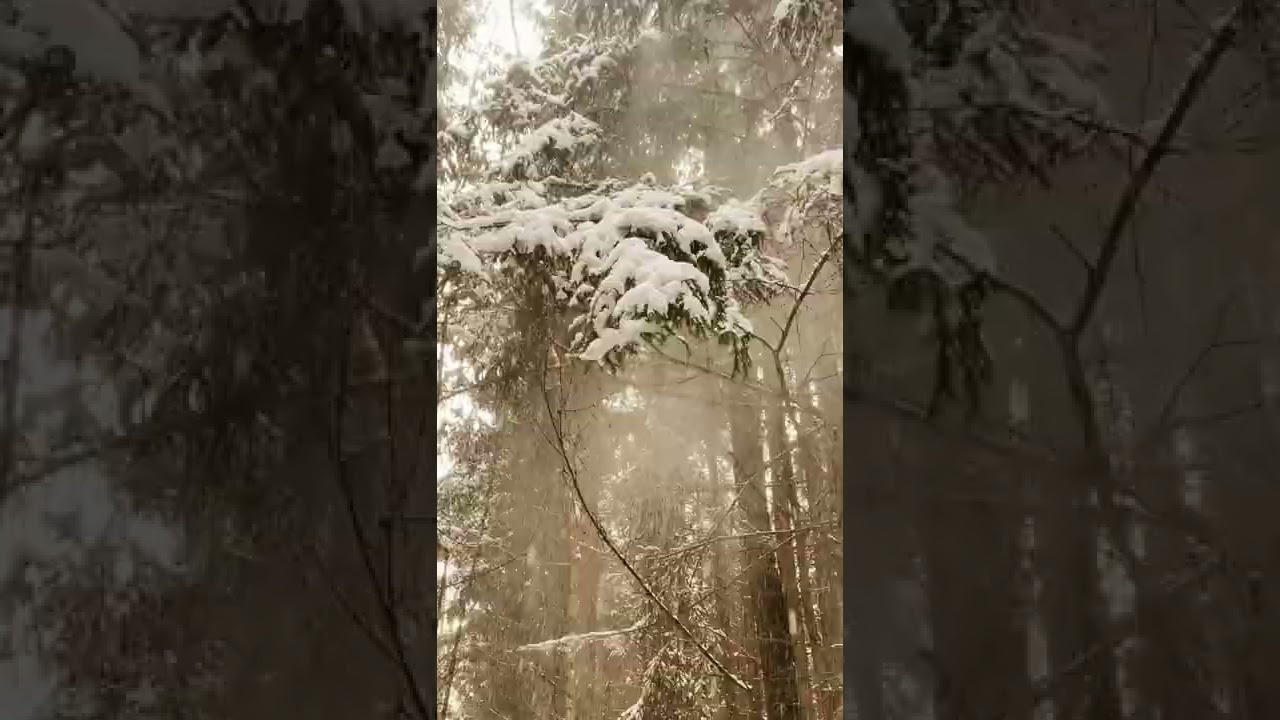 Видео для социальных сетей. Создание видеороликов под ваш запрос и обучение