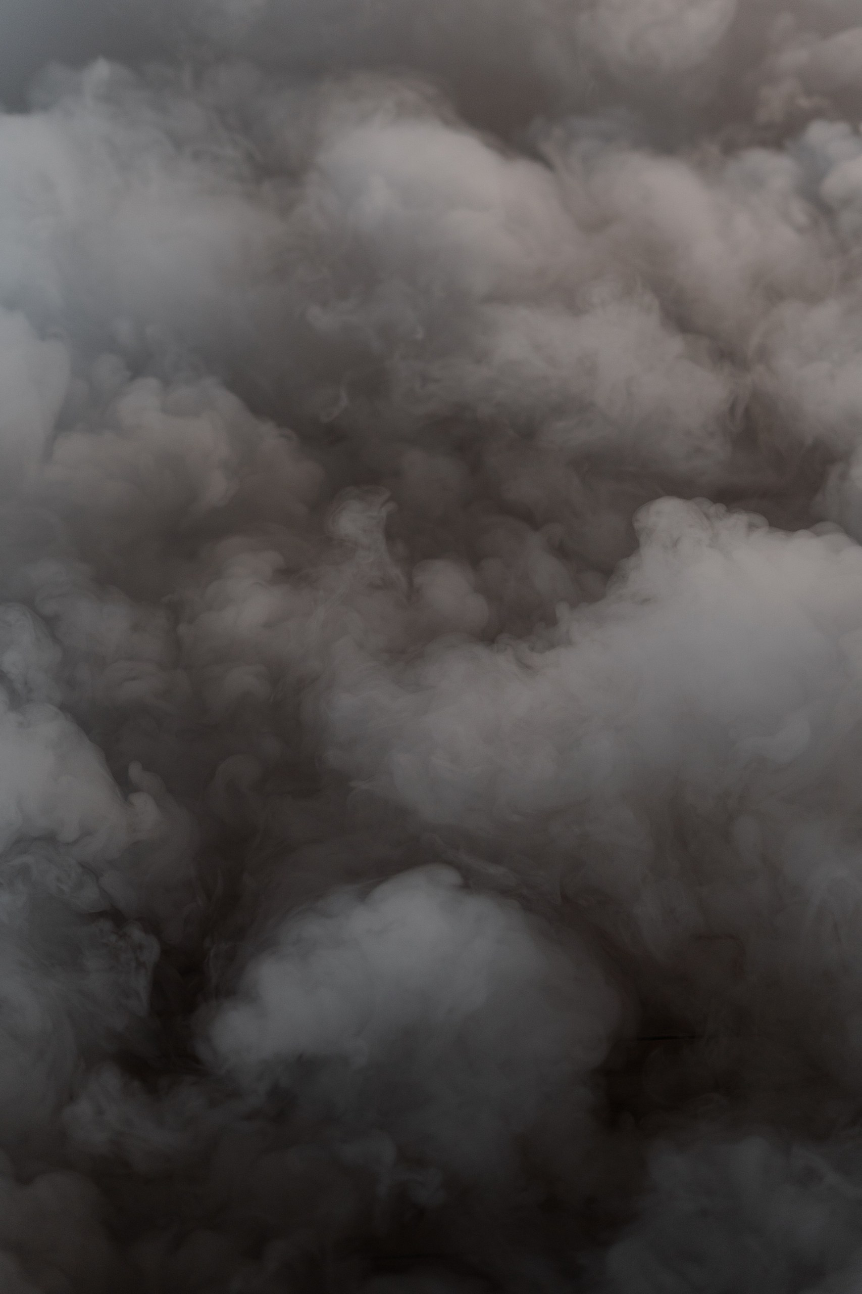 Григорий и Ольга Насинник — свадебный фотограф Архангельск