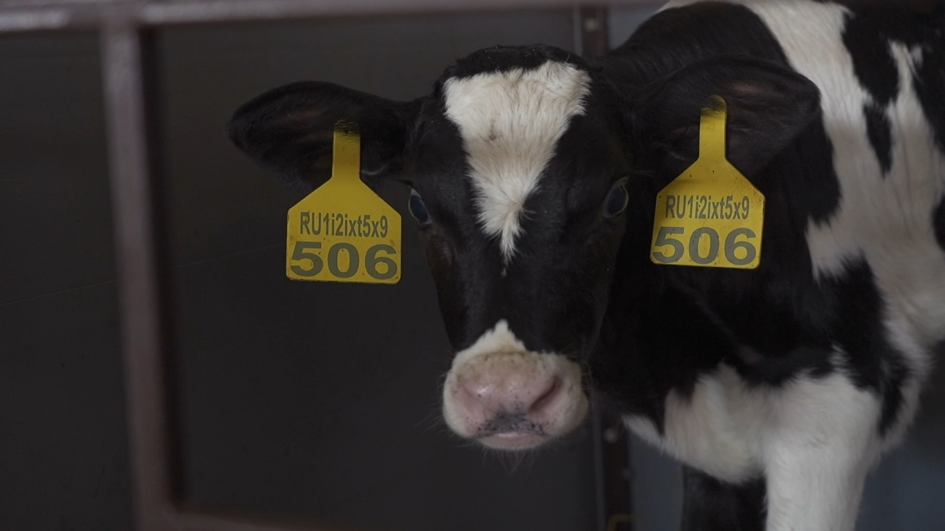 Видео для бизнеса. Видеосъемка в Самаре и Тольятти