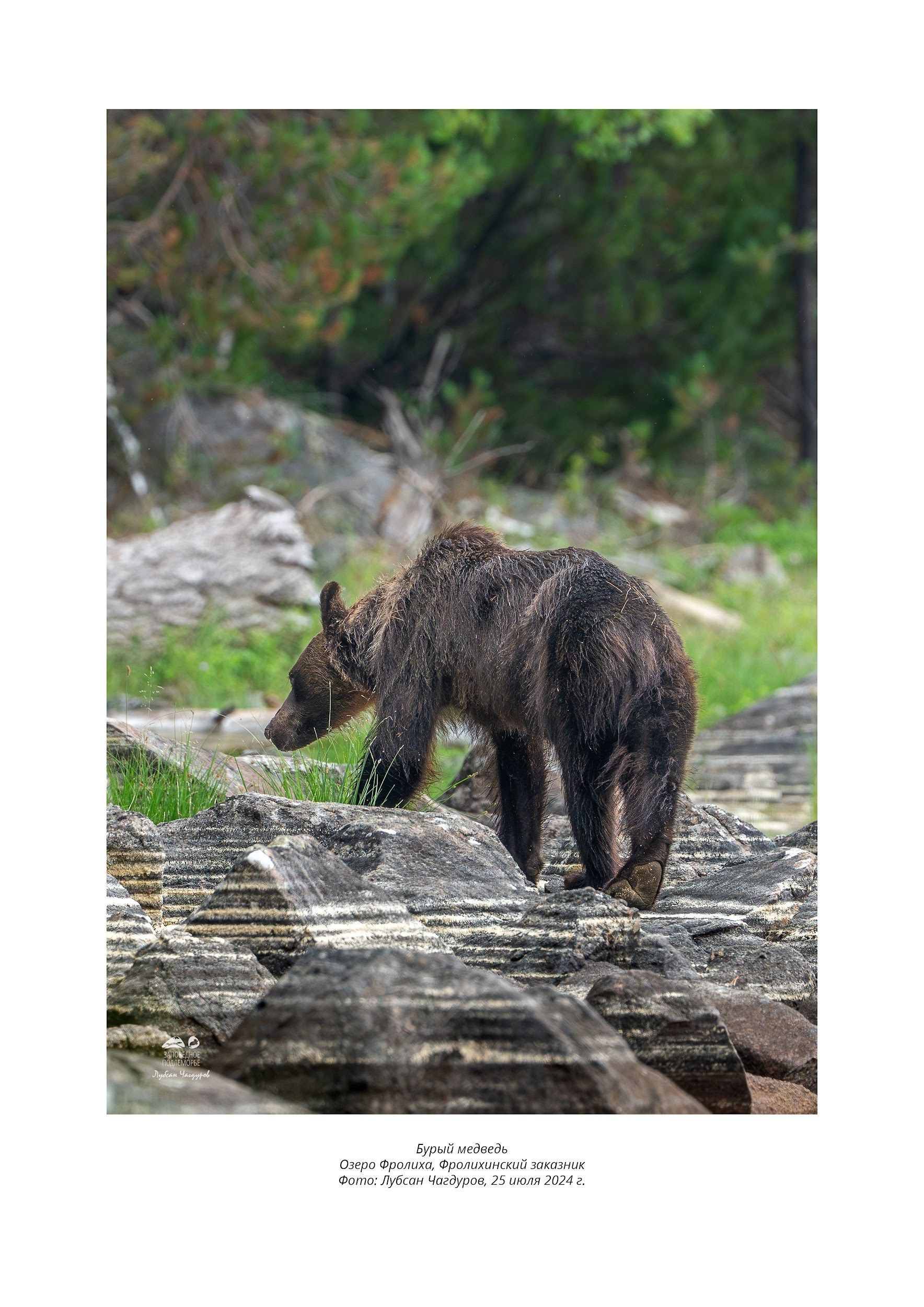 Фотограф Лубсан Чагдуров