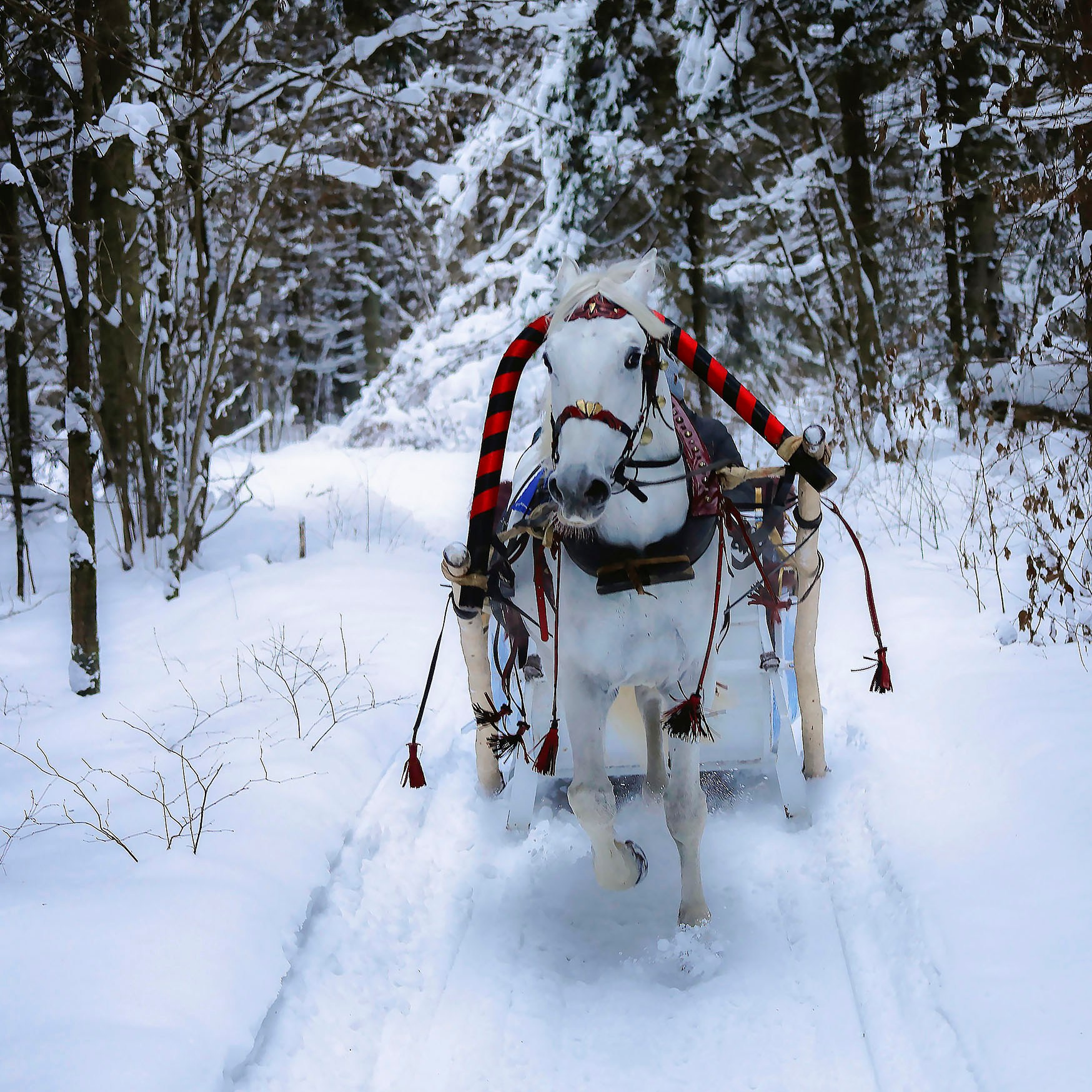 Детский и семейный фотограф в Москве Юлия Стукалова
