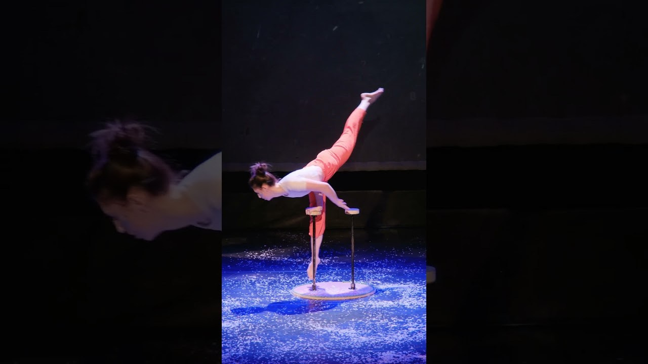 Вертикальные. PORTFOLIO TEMAKARA