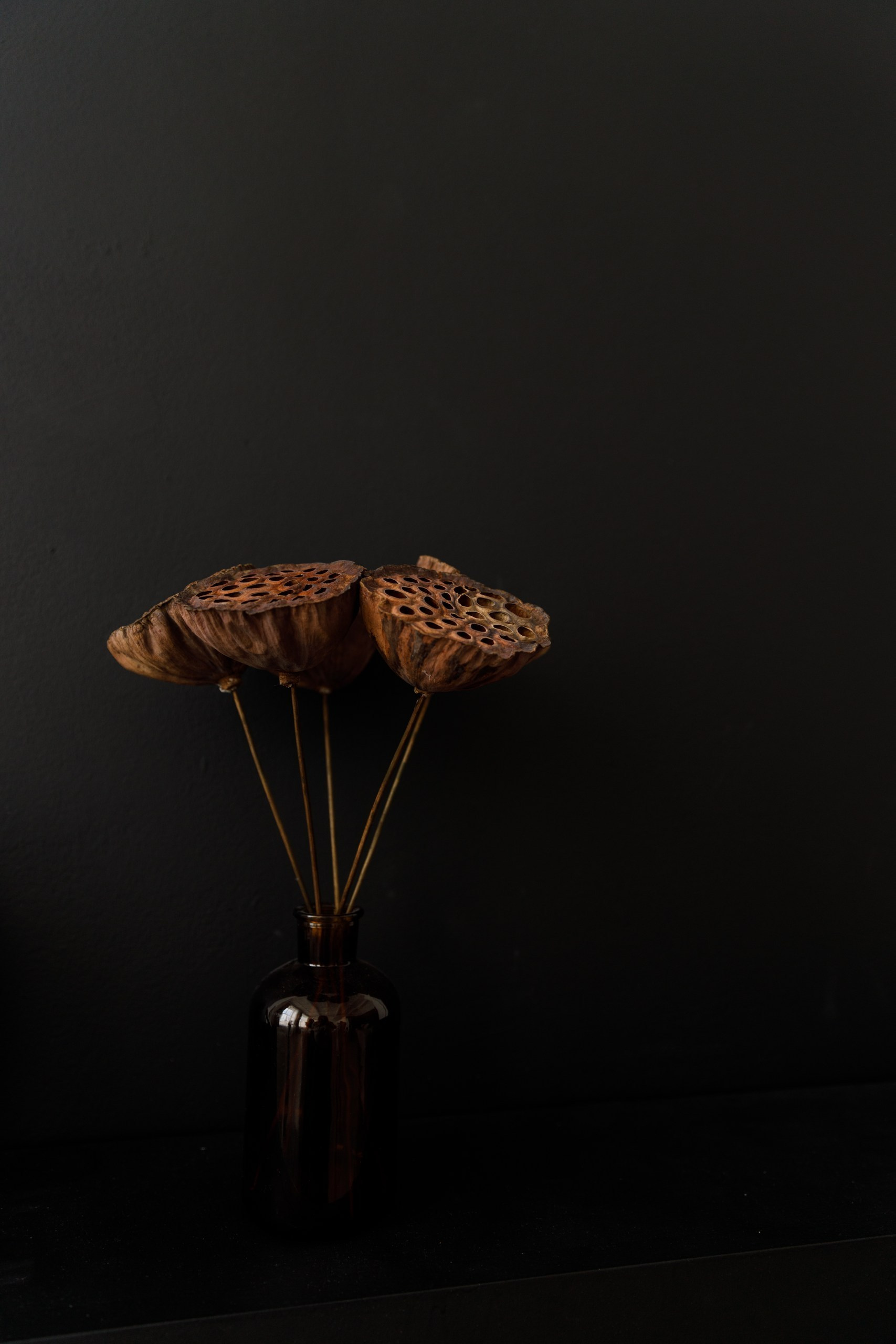 Отзывы. Свадебный, семейный и детский фотограф в Оренбургской области Юля Лепп