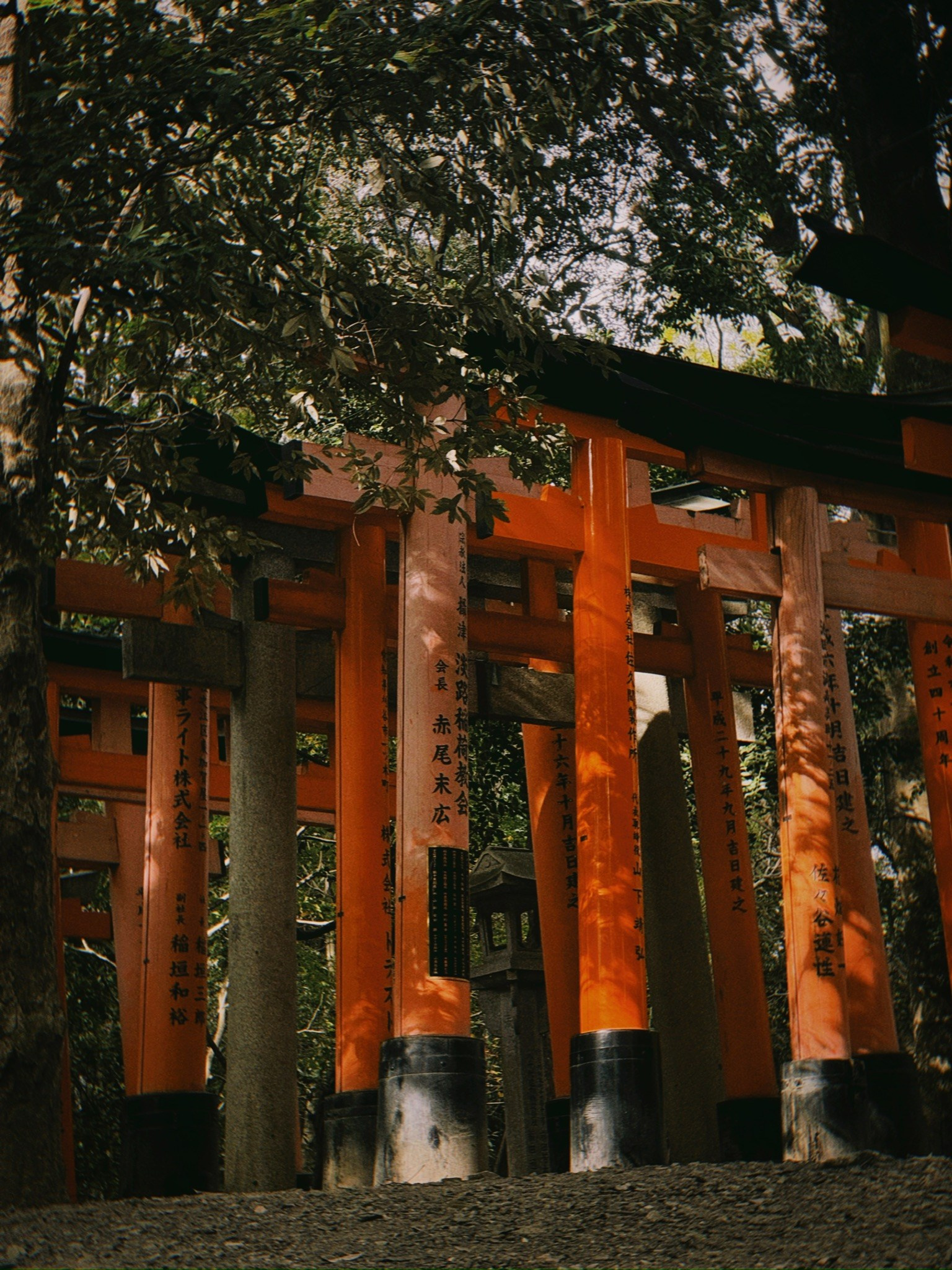 TRAVELERS: гайды, фото из путешествий, личные рекомендации