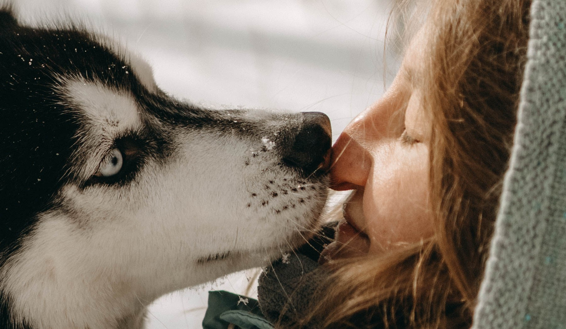 Анна и Вегас. Фотограф-анималист в Екатеринбурге | Кристина