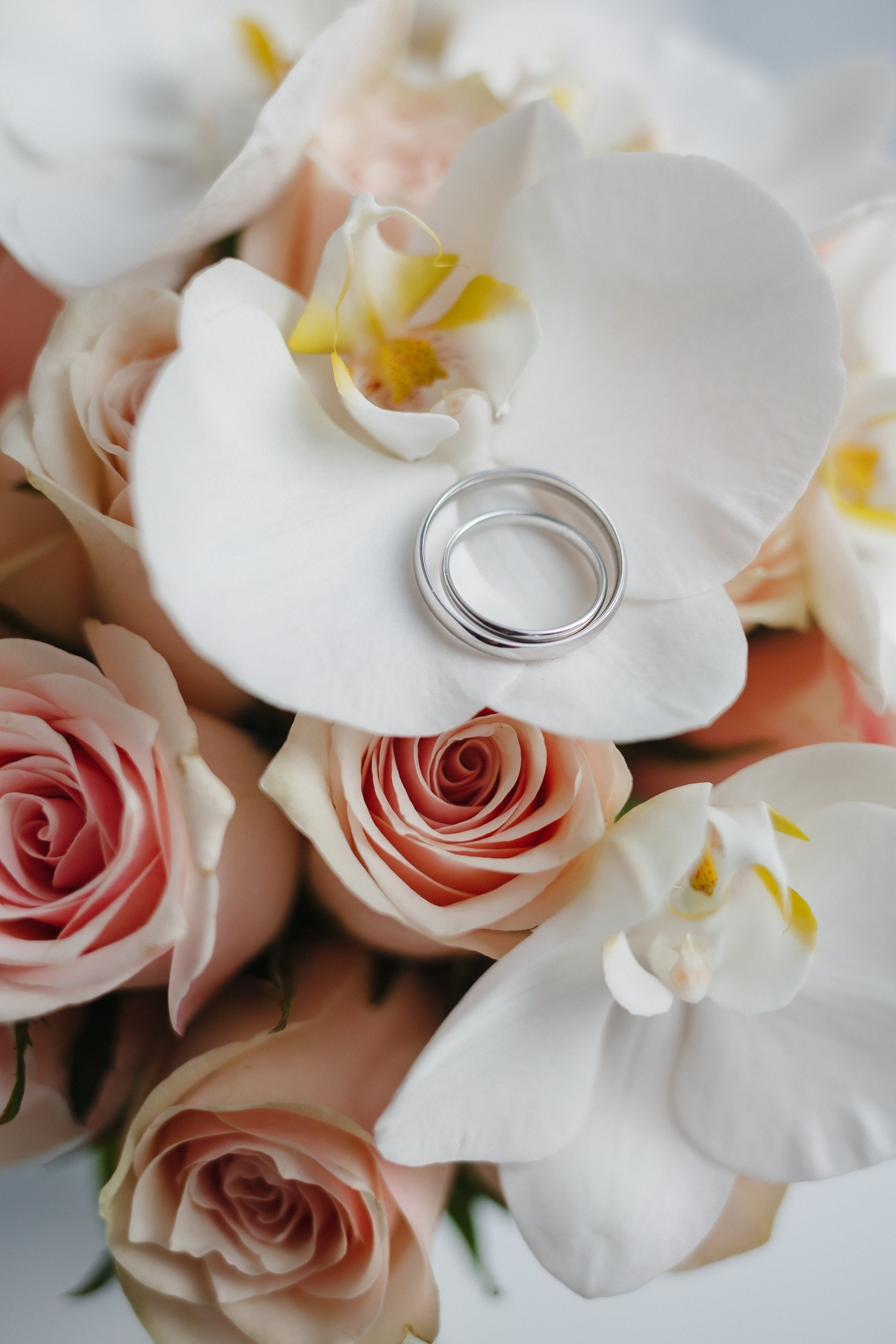 Мобилография. Семейный фотограф Николаева Ольга