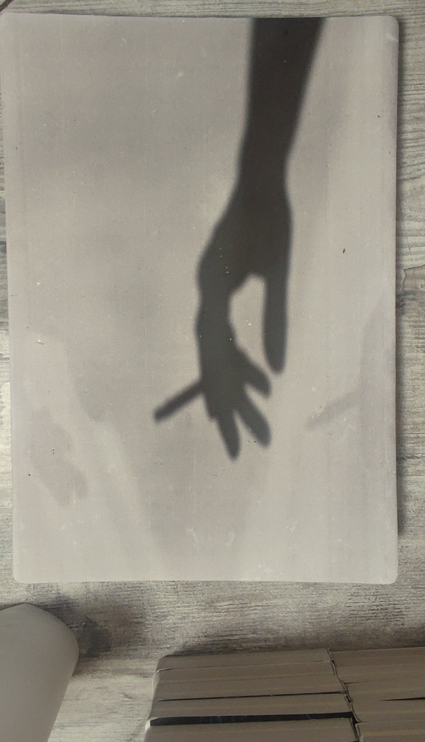 Current catalog. Фотограф Евгений Казекин