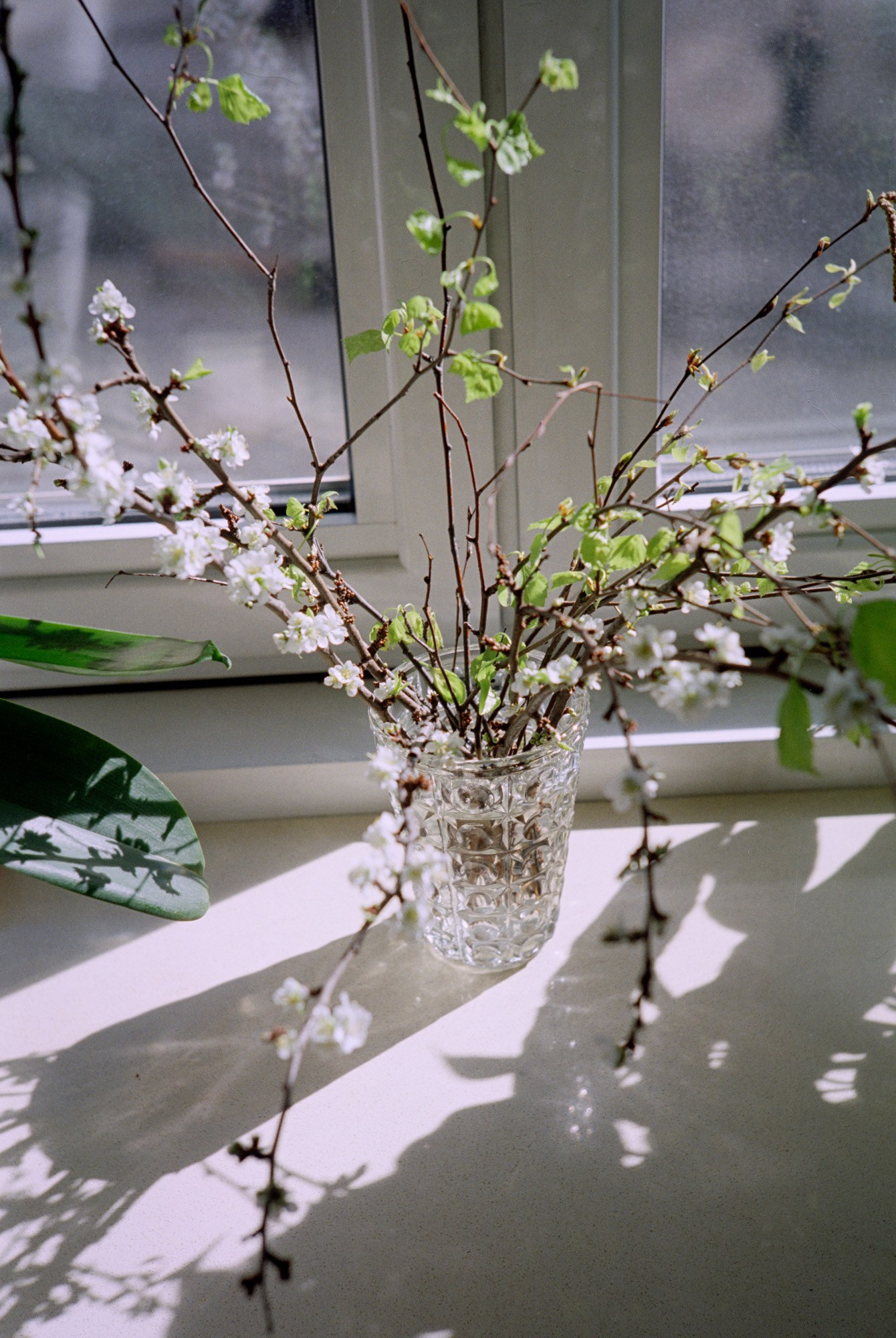 Moscow color/Москва. В поиске цвета. Документальный фотограф Алексей Мякишев, Москва