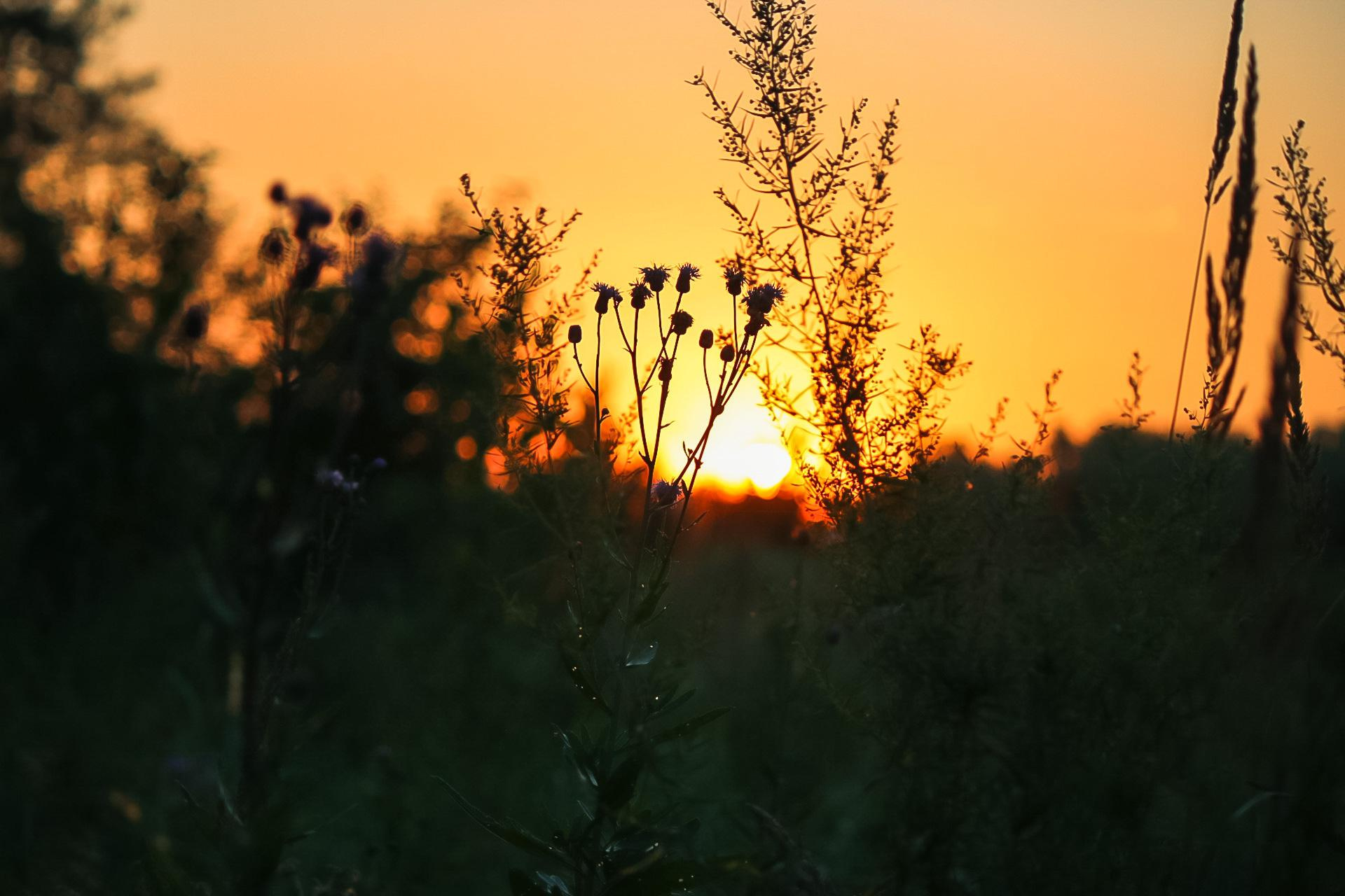 Danna Dark. Фотограф | Красноярск