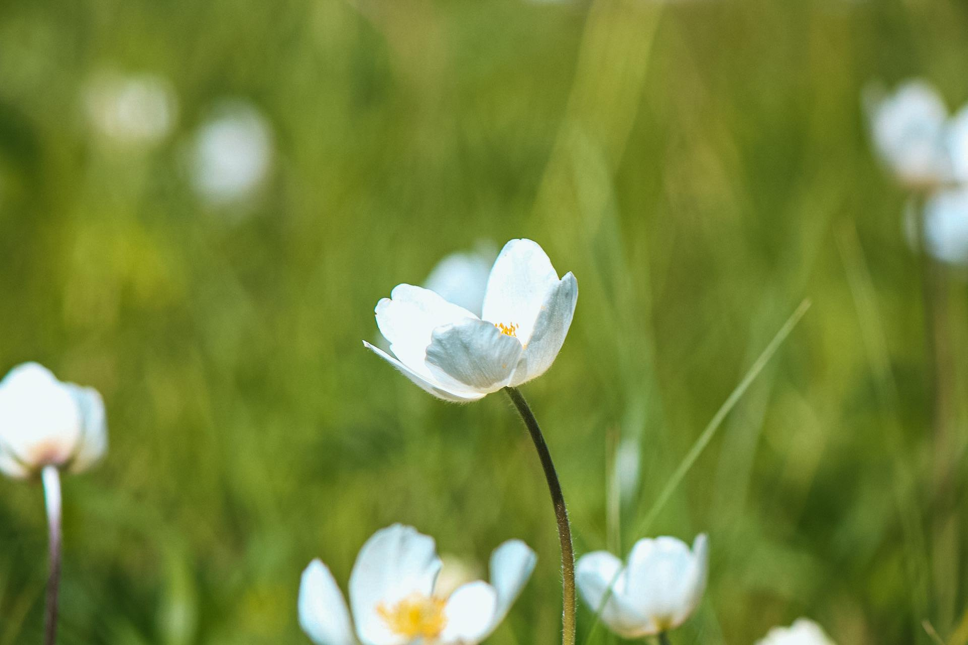 Danna Dark. Фотограф | Красноярск