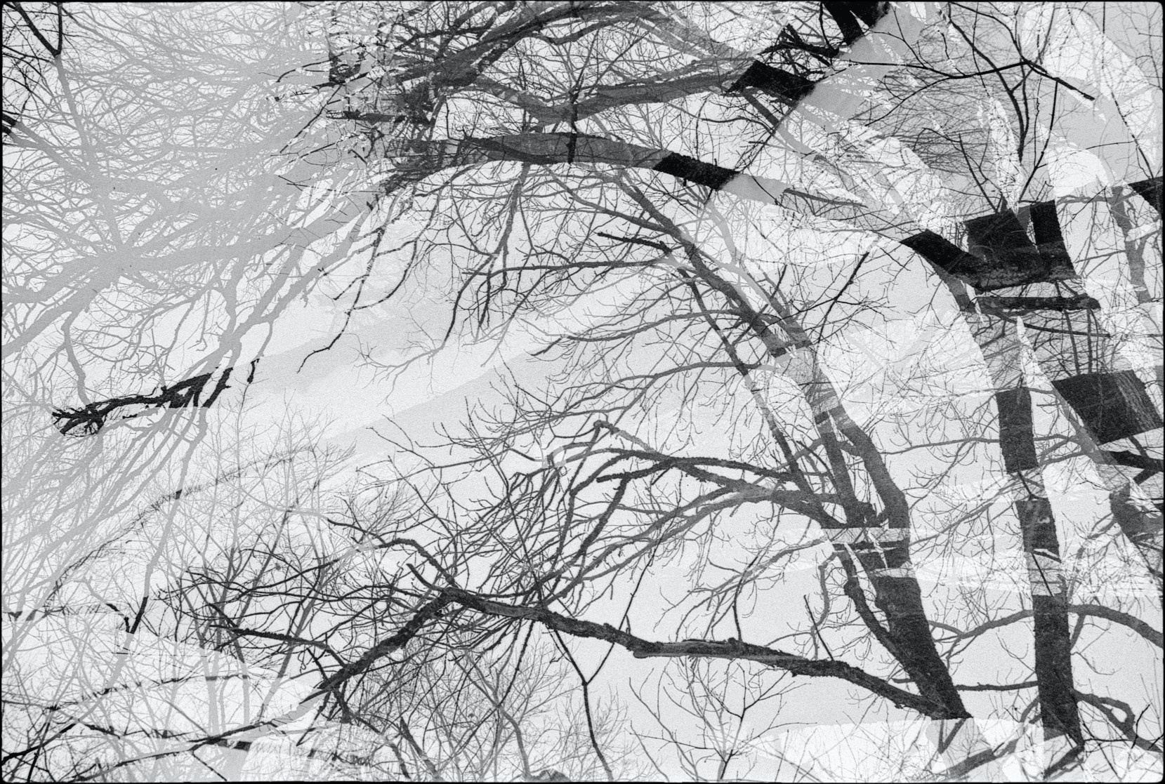 Artkapella|Олег Кузнецов