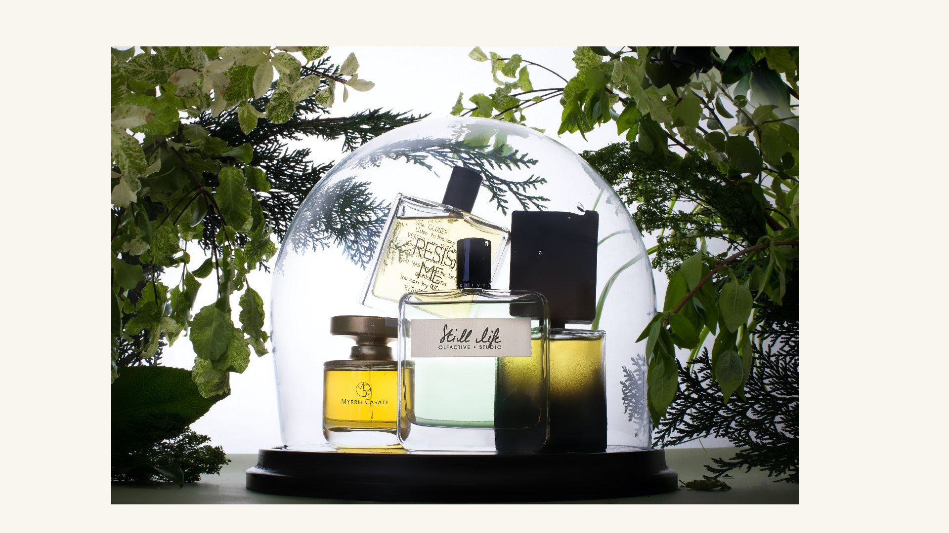 PHOTOGRAPHY. TAMARA BAZHMINA