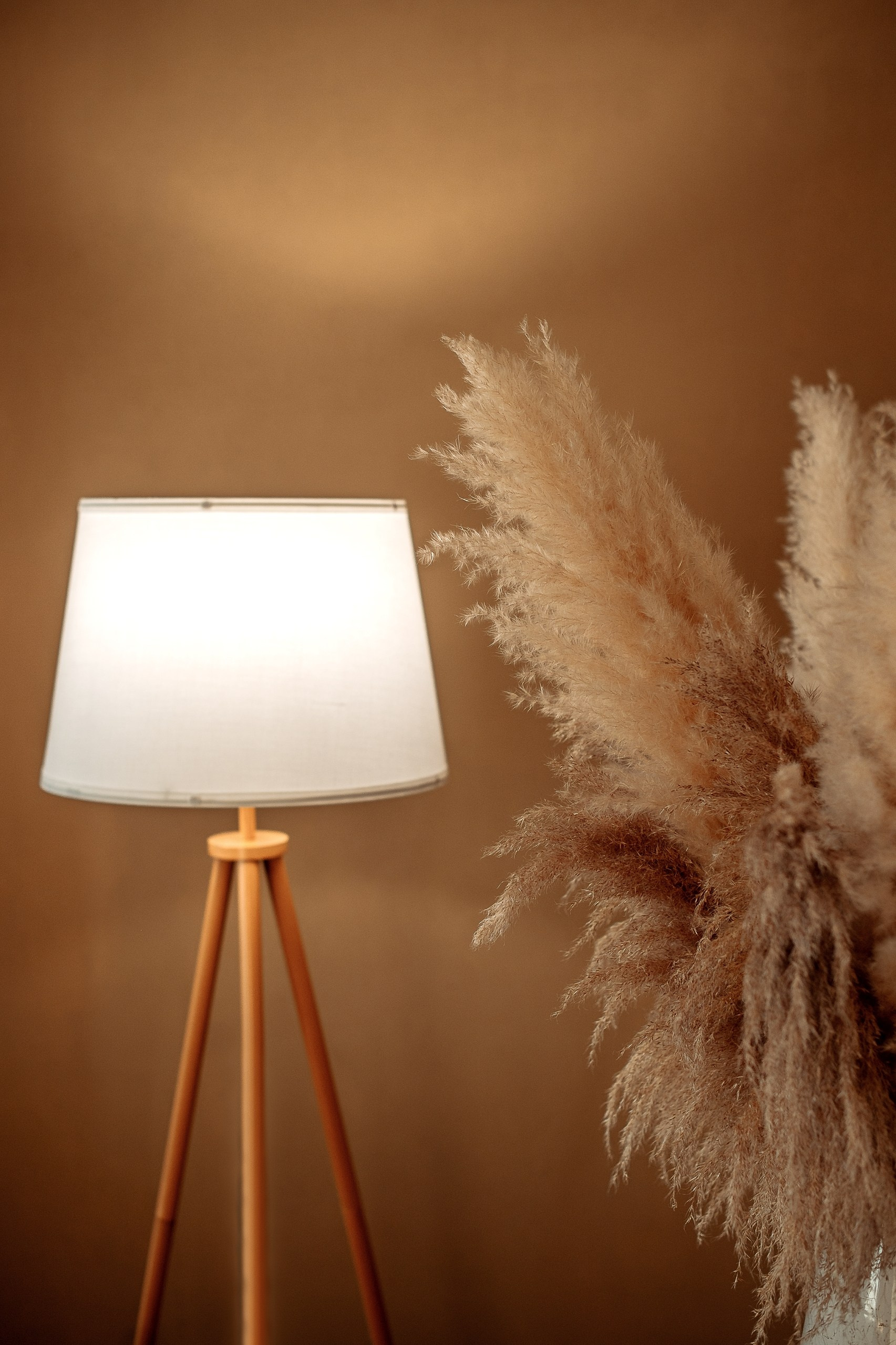 Студийная съёмка. Ваш фотограф Светлана Мицукова