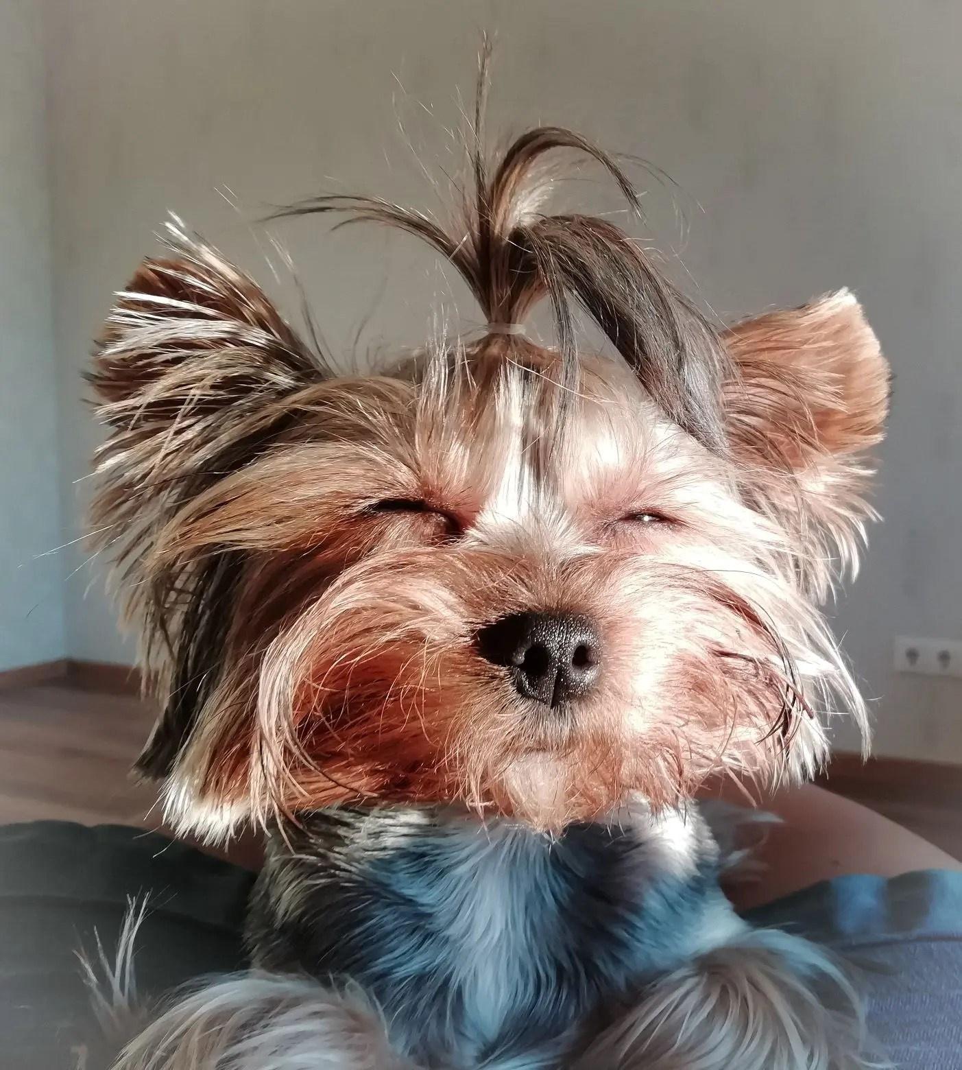 МАРИНА М