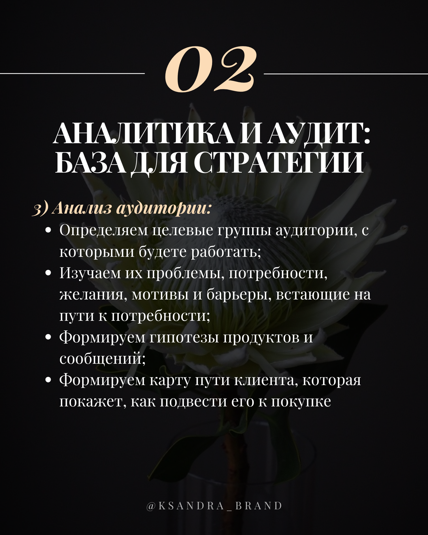 Практическое руководство: «Создание стратегии продвижения в соцсетях на 2025 год
