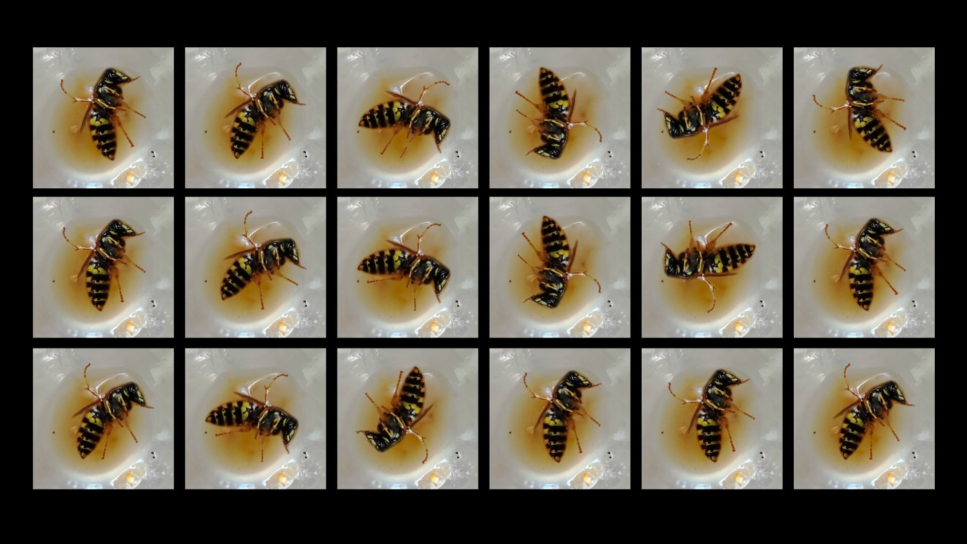 НЕЙРОПАТ. Междисциплинарная художница Мария Кокунова Санкт-Петербург