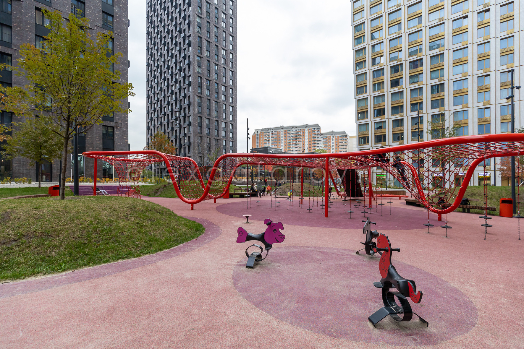 Светлана Титова. Фотограф Гафаров Александр