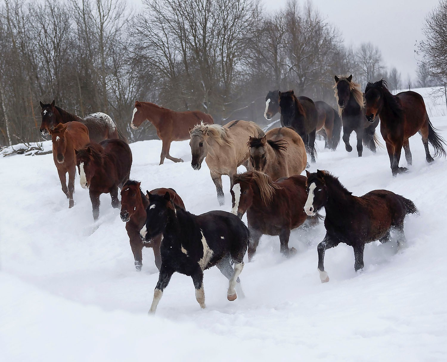 Детский и семейный фотограф в Москве Юлия Стукалова