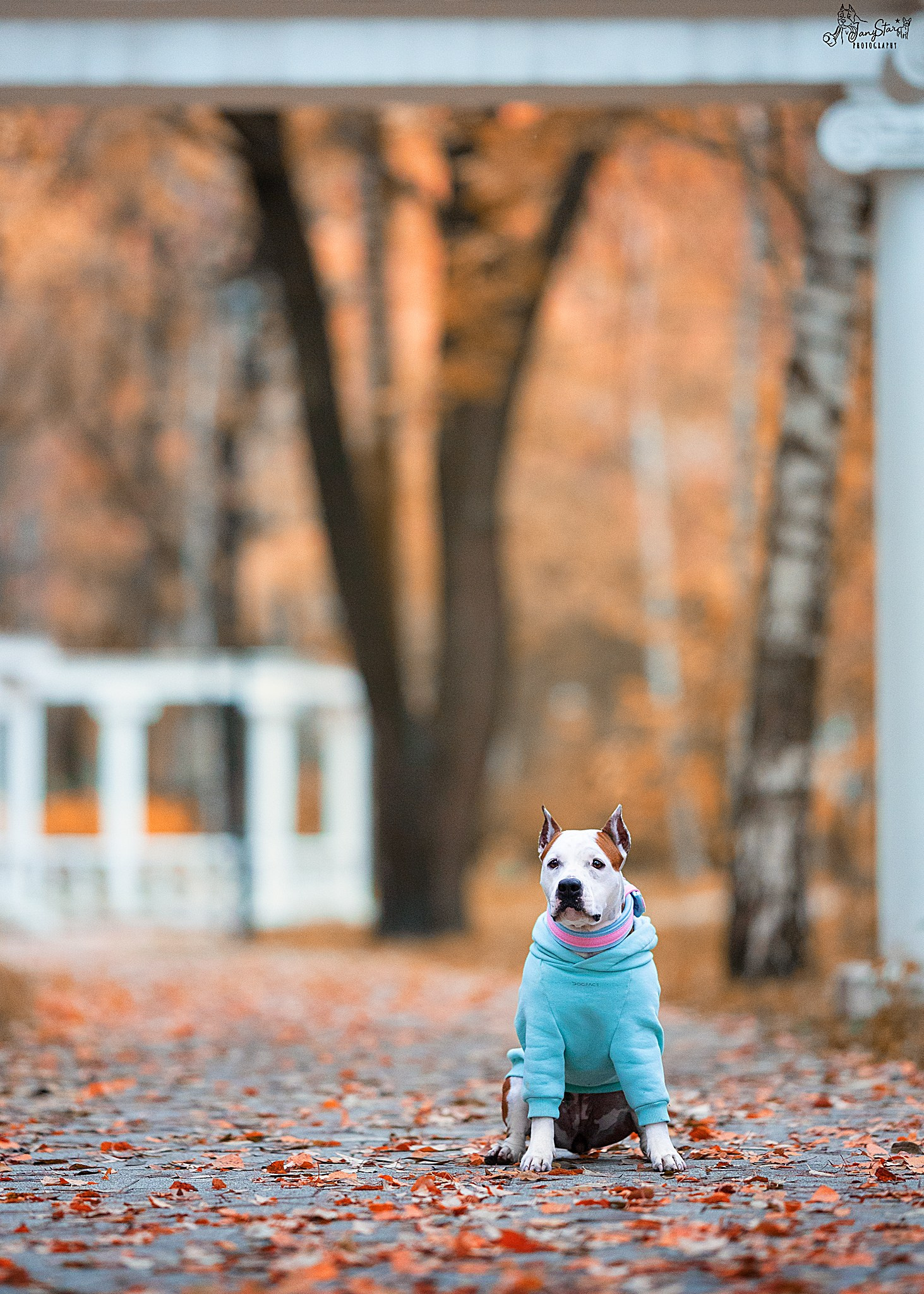 Фотограф-анималист в Москве Евгения Старостина