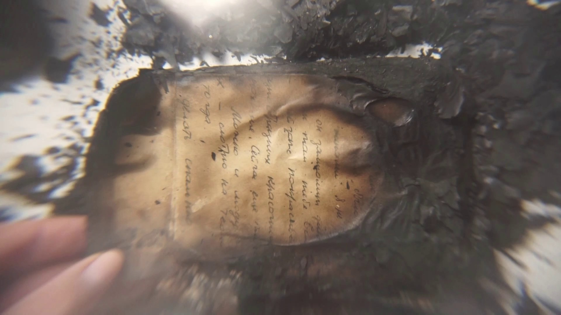 Необыкновенное вещество (2025 г.). Плёночный фотограф Юлия Андрейченко в Москве