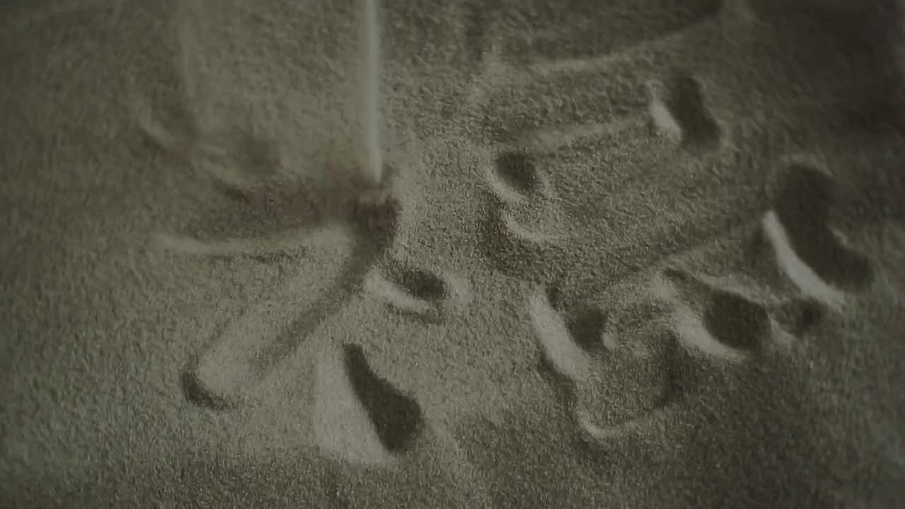 Свадебное видео портфолио Вологда видеограф. Видеограф Сергей Болотов