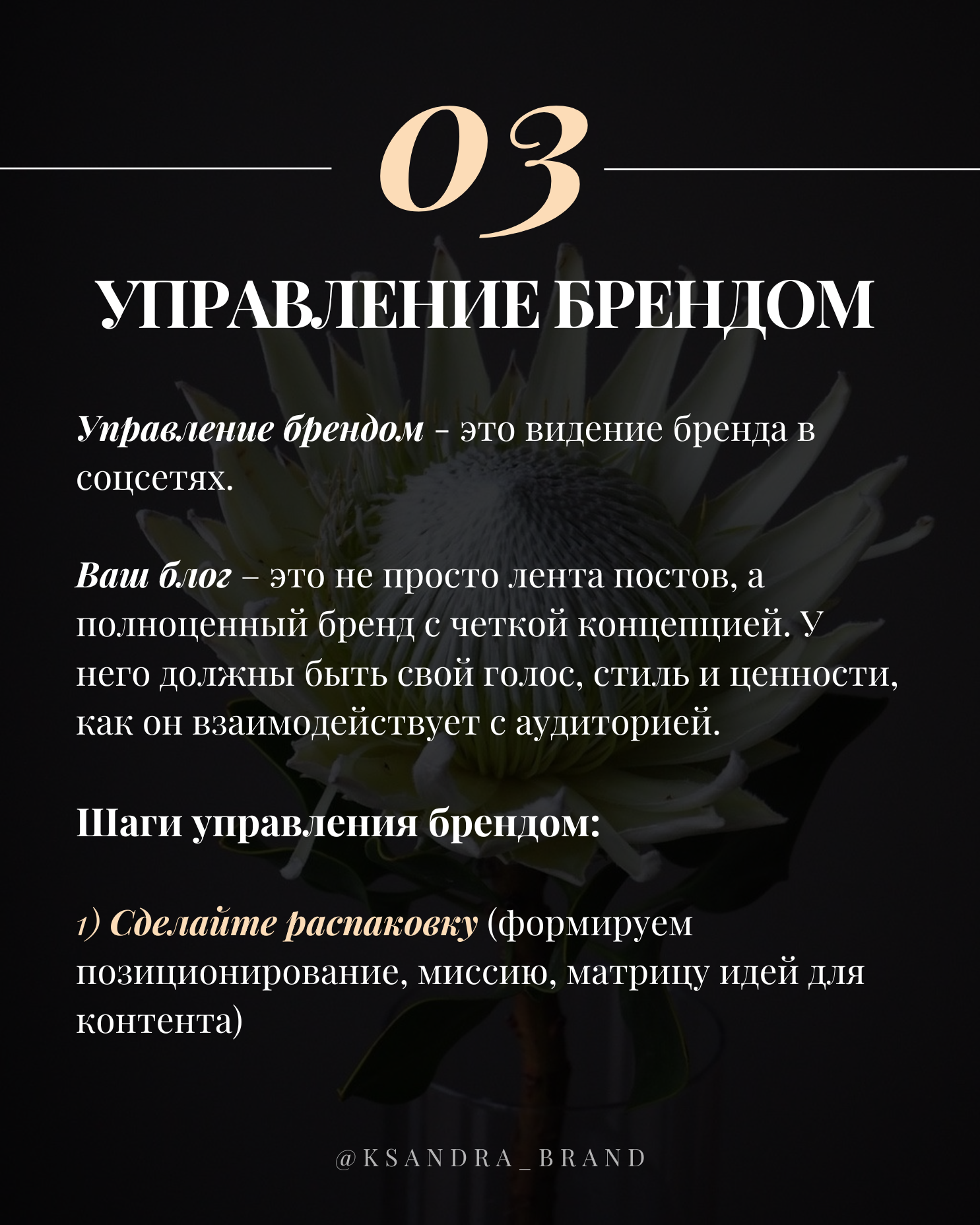 Практическое руководство: «Создание стратегии продвижения в соцсетях на 2025 год